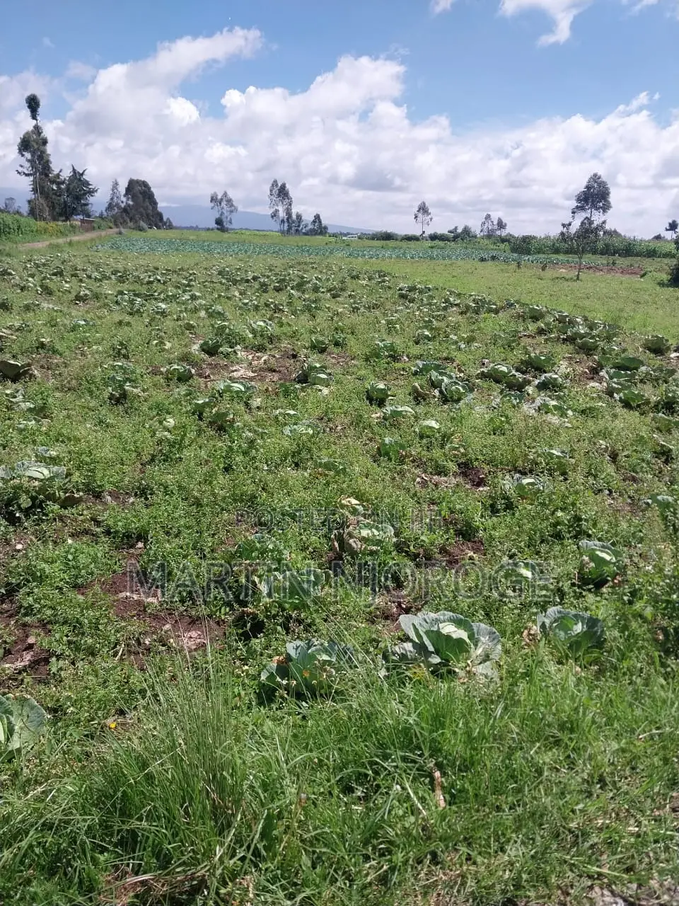 2 Acres Mwendandu, Heni Area in Magumu