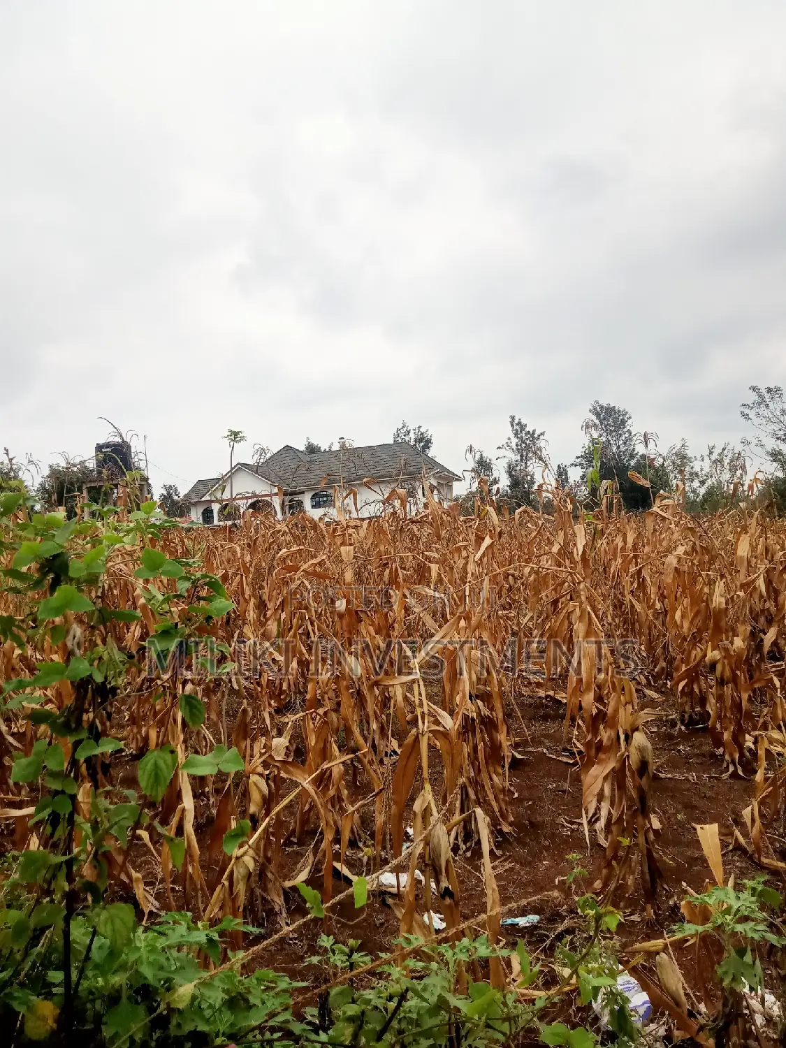 40 by 80 Plots on Sale at Kabati in Kimorori/Wempa