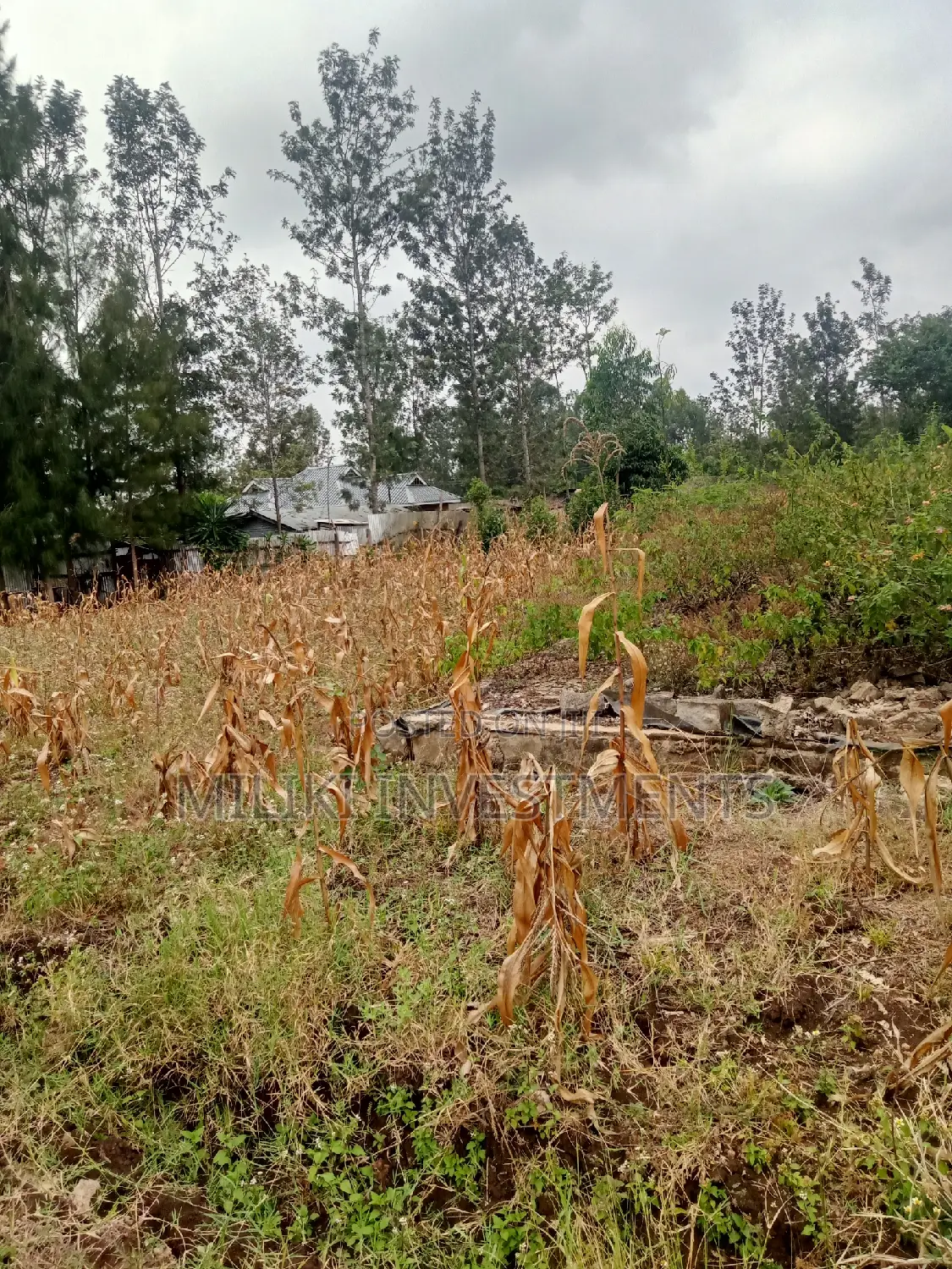 40 by 80 Plots on Sale at Kabati in Kimorori/Wempa