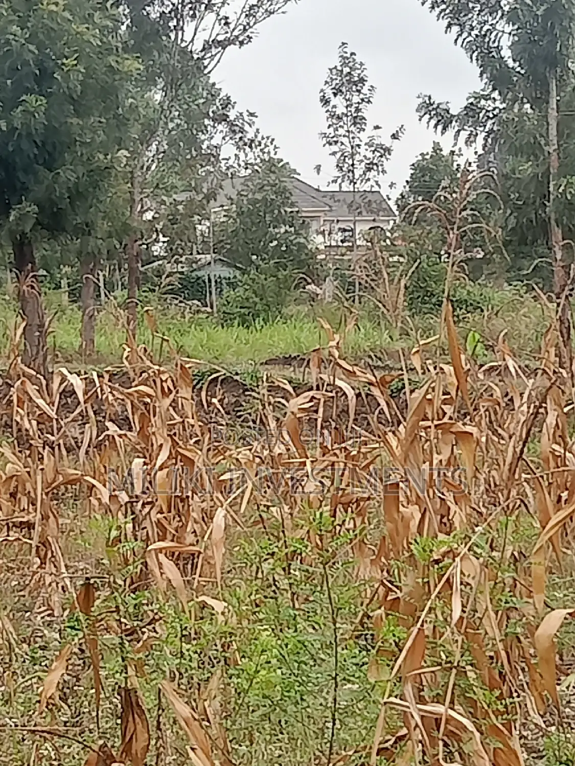 40 by 80 Plots on Sale at Kabati in Kimorori/Wempa