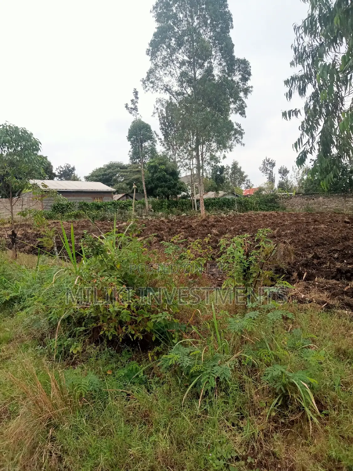40 by 80 Plots on Sale at Kabati in Kimorori/Wempa