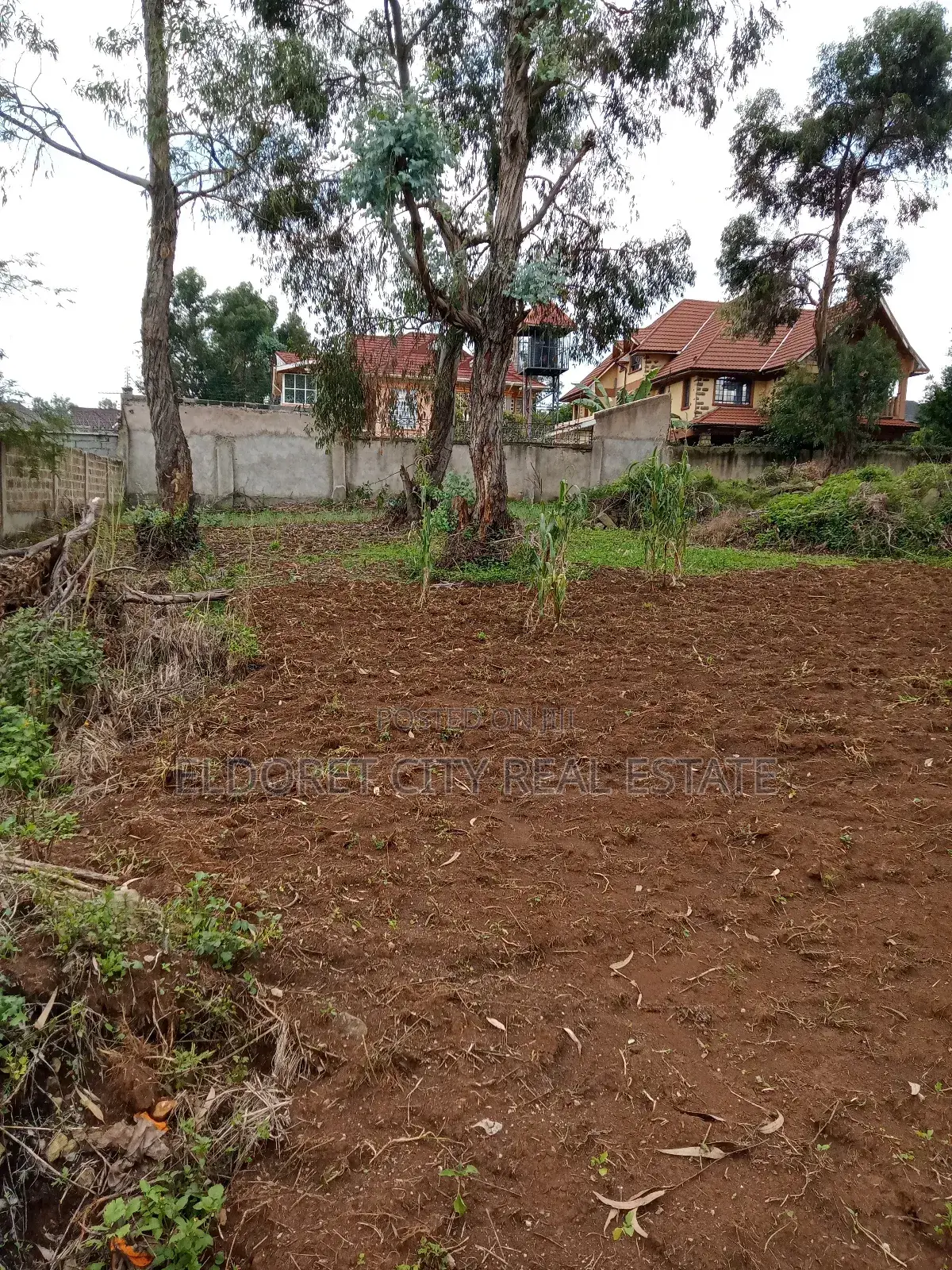 1/2 Acre Hillside With Perimeter Wall . in Kapsuswa