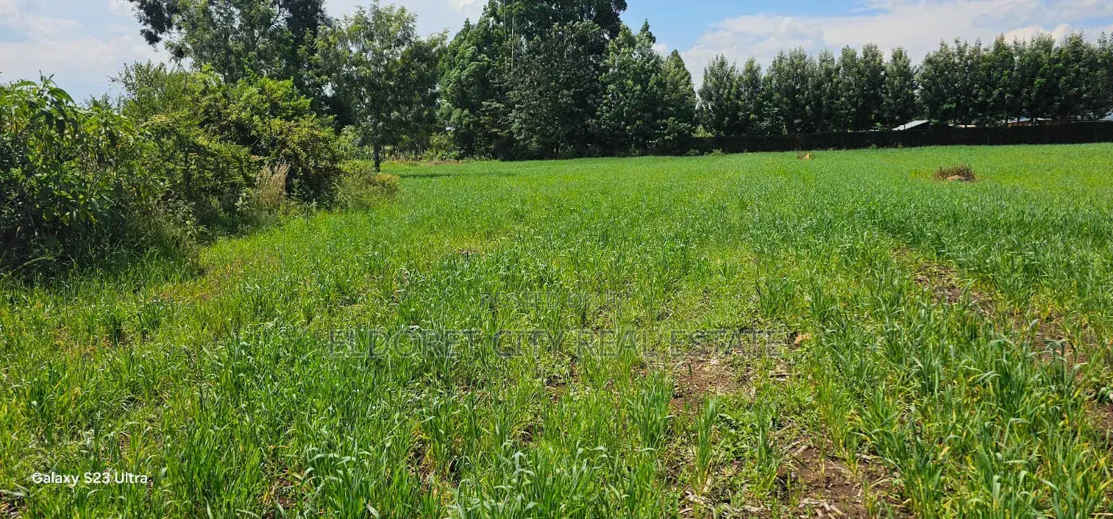 20 Acres Kabenes Good for Agricultural Use in Kapsuswa