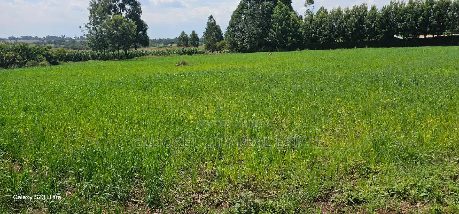 20 Acres Kabenes Good for Agricultural Use in Kapsuswa