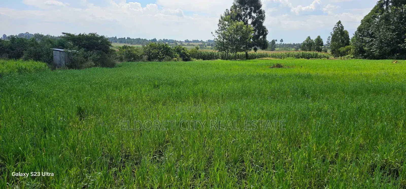 20 Acres Kabenes Good for Agricultural Use in Kapsuswa