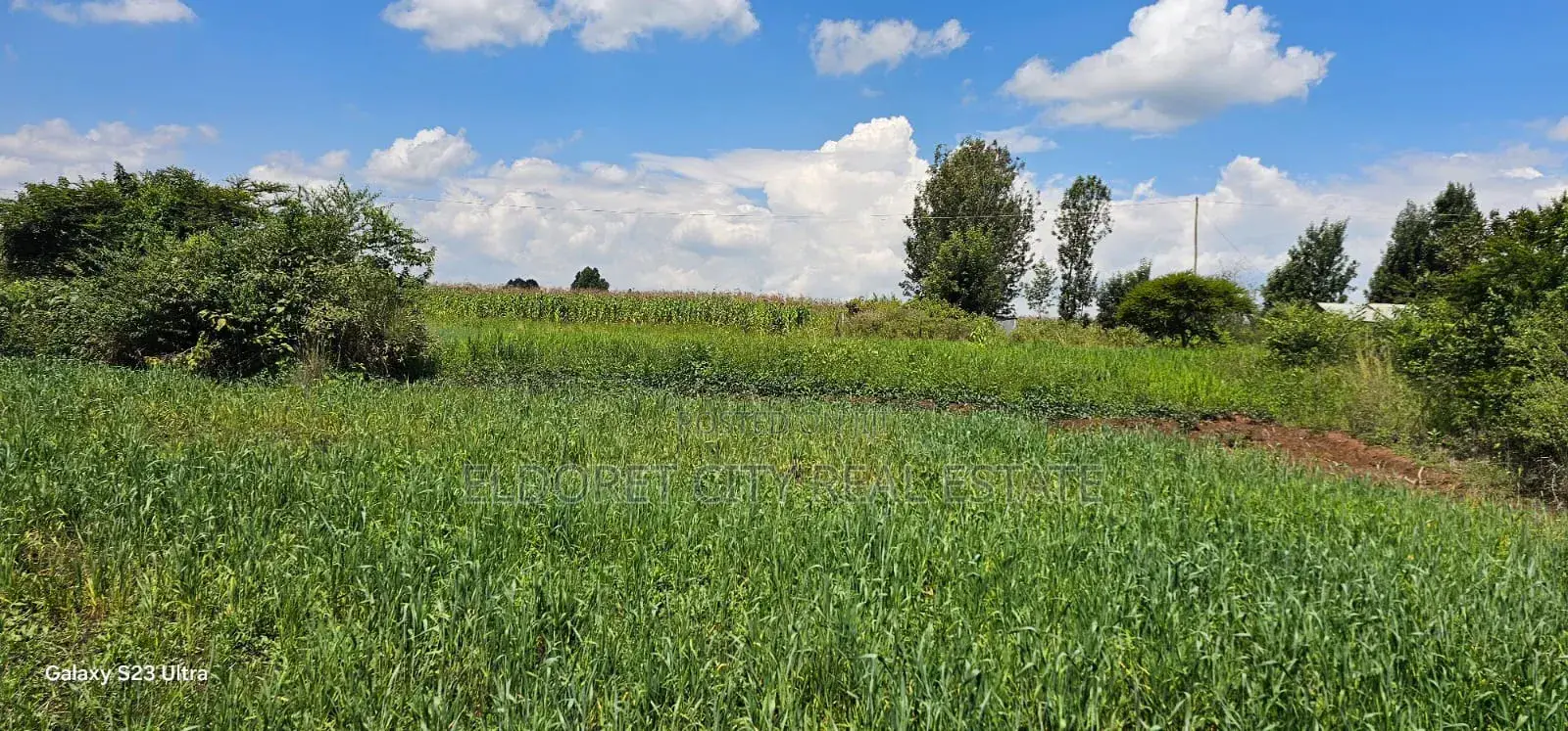 20 Acres Kabenes Good for Agricultural Use in Kapsuswa