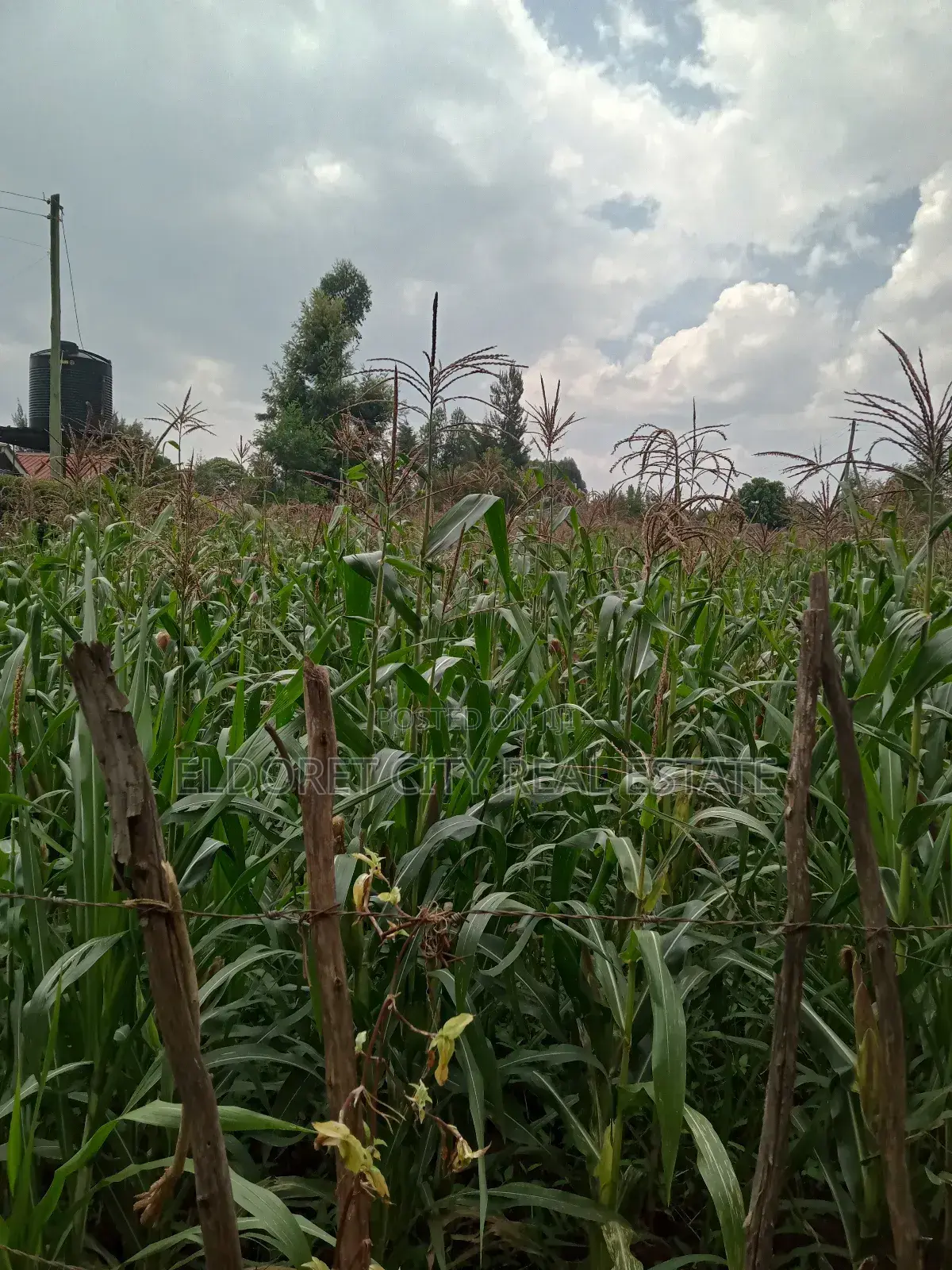 1/4 Plot Blossom Annex Ideal for Residential in Kapsuswa