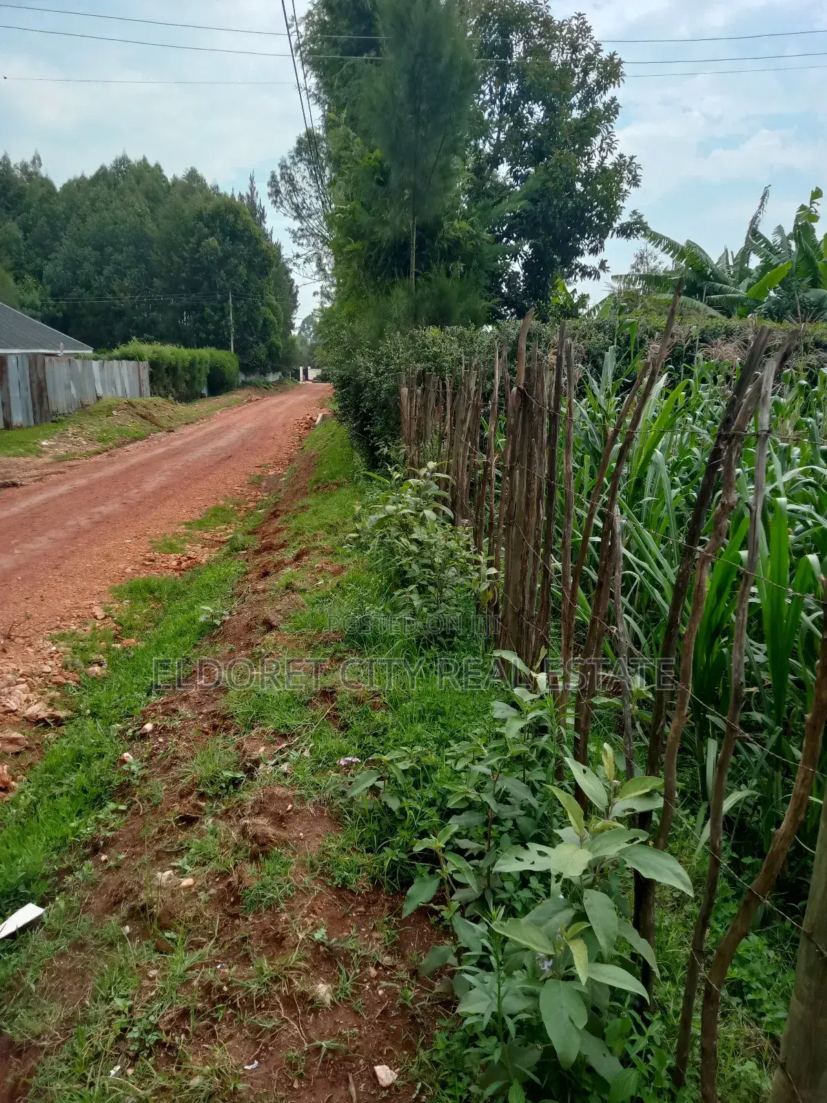 1/4 Plot Blossom Annex Ideal for Residential in Kapsuswa