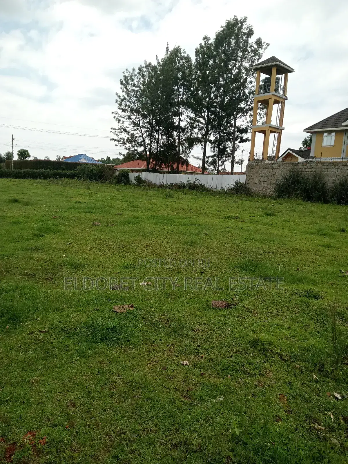 1/4 Touching Feeder Tarmac Blossom Ideal for Home in Kapsuswa