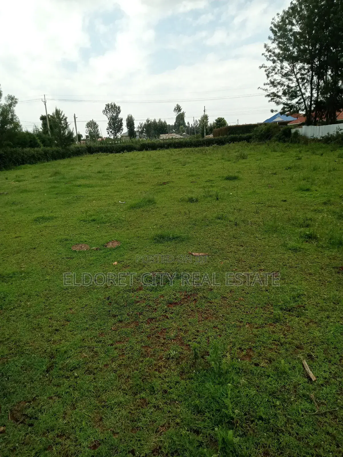 1/4 Touching Feeder Tarmac Blossom Ideal for Home in Kapsuswa