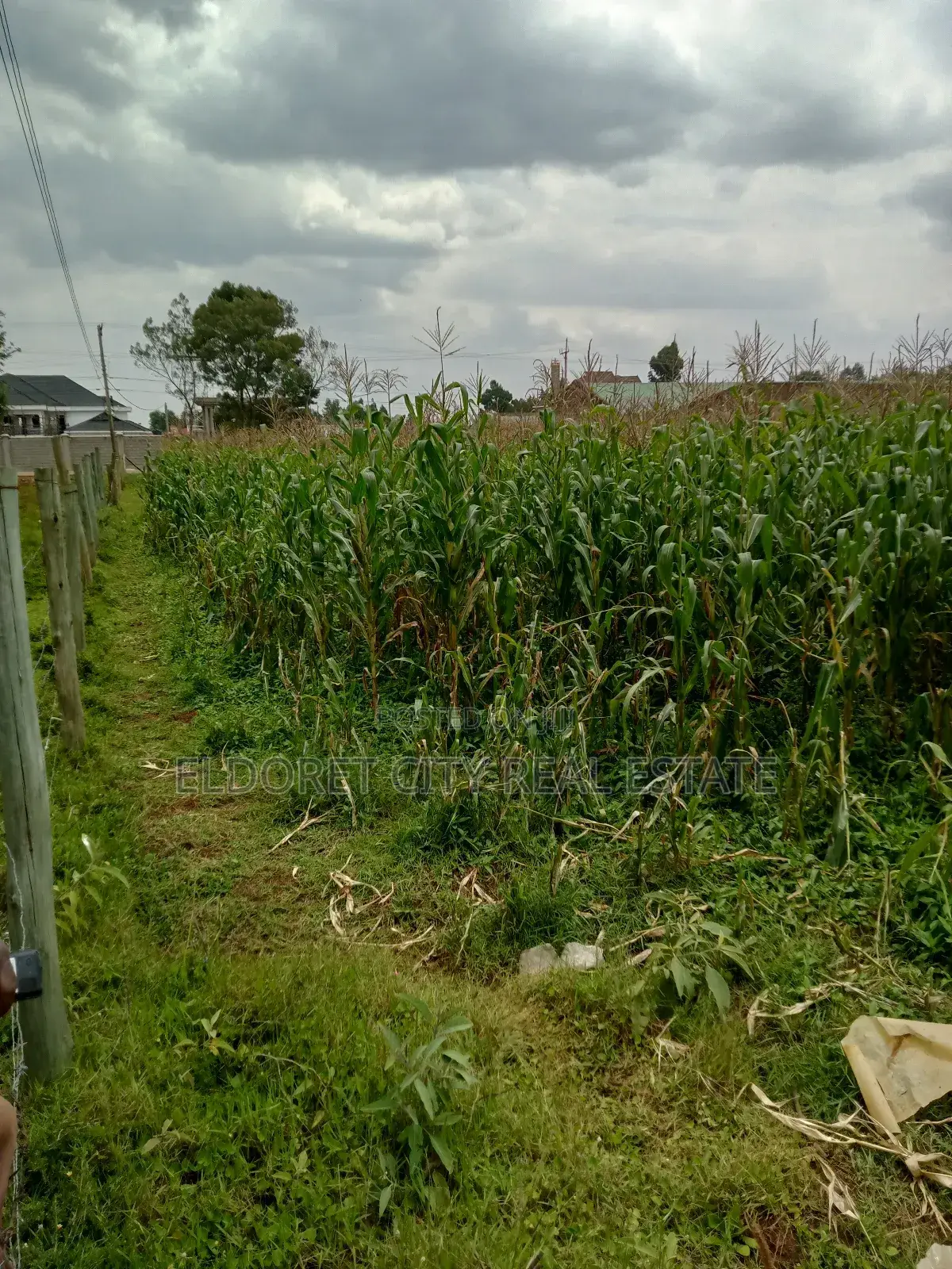 1/4 Plus 1/8 Annex Touching Feeder Tarmac in Kapsuswa