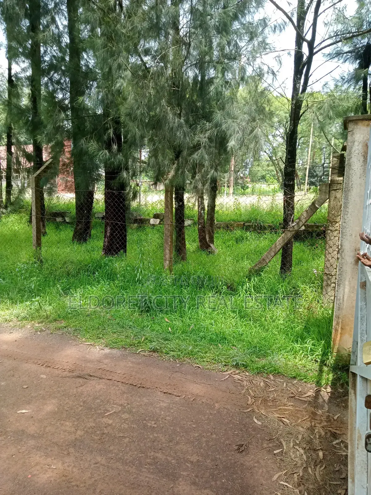 1/2 Acre Lower Elgonview Near Boma Inn Hotel in Kapsuswa