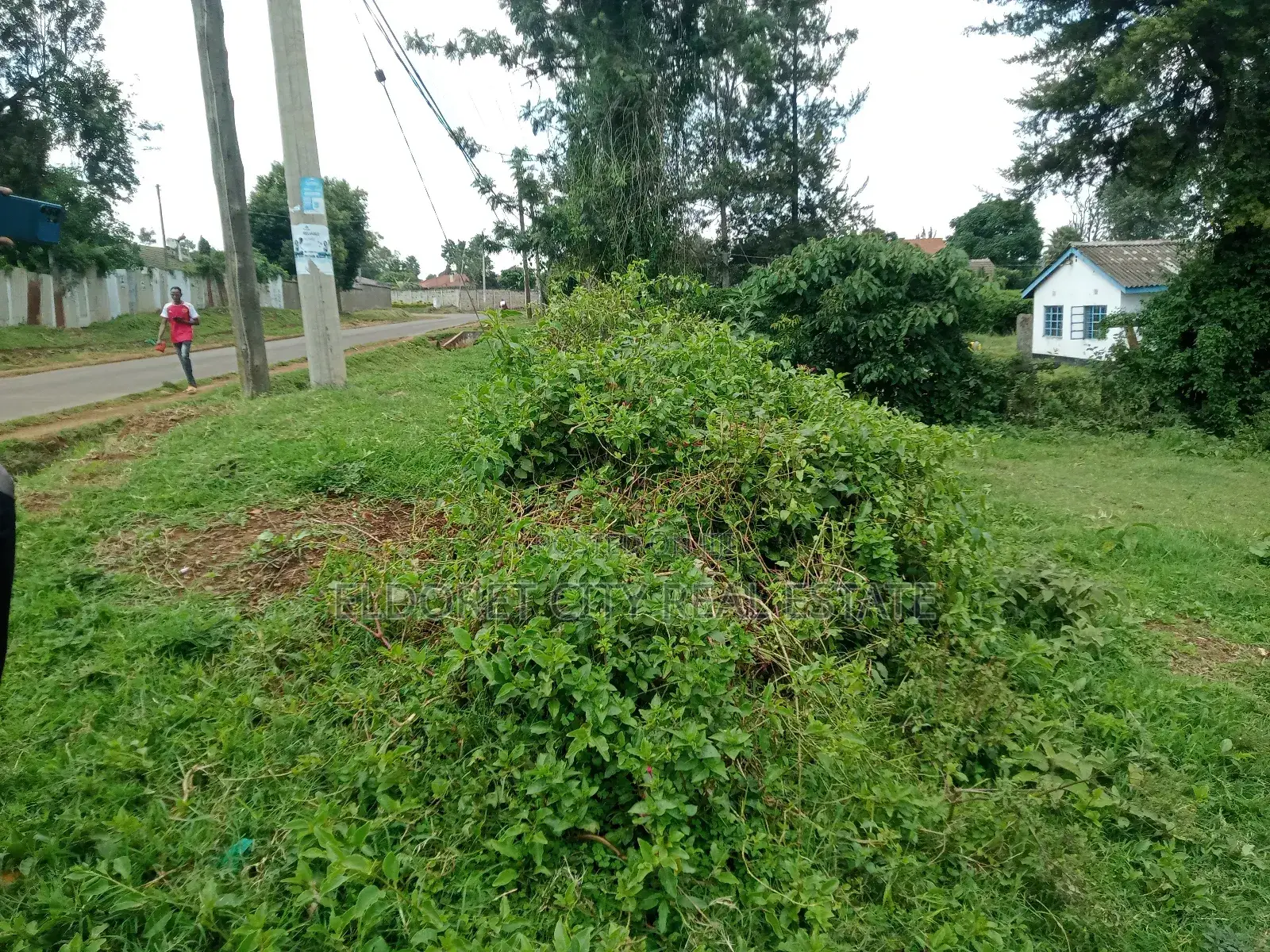 1/2 Acre West Indies Ideal for Rental Investment in Kapsuswa