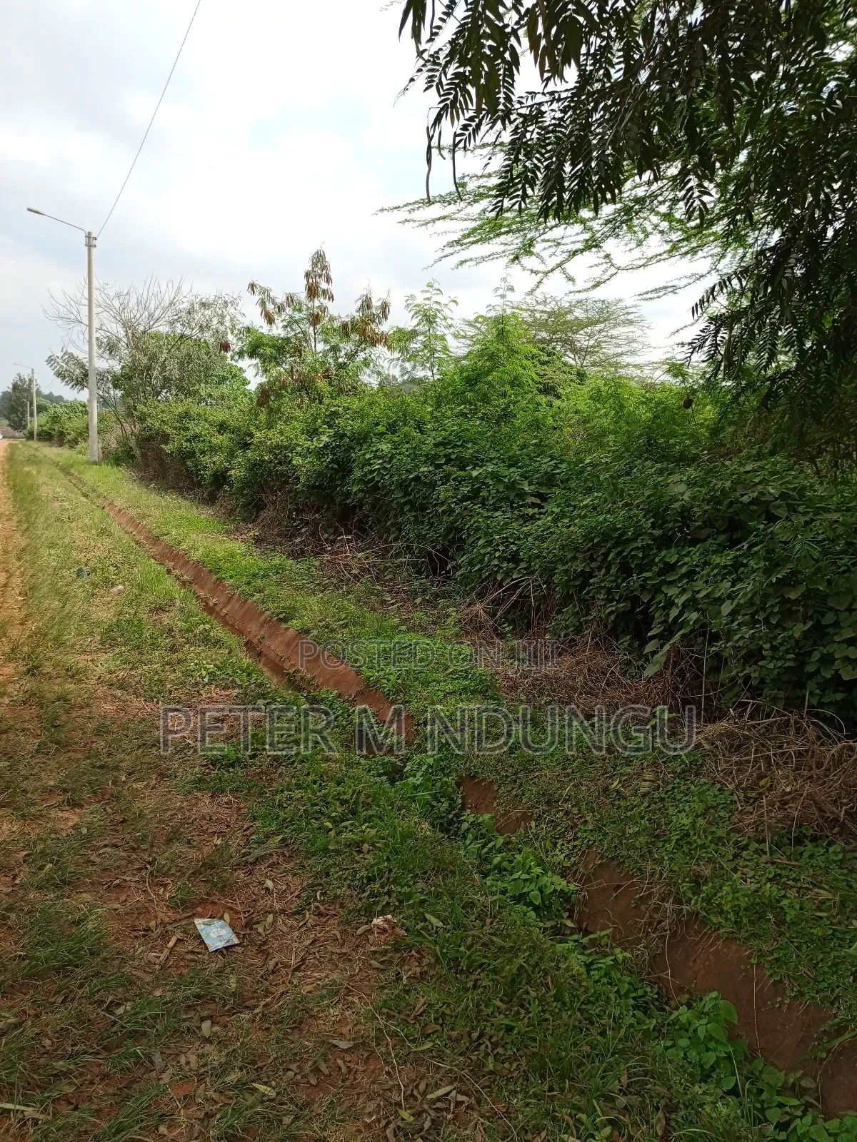 Prime Land on Sale, 60 Acres Muthaiga North in Nairobi Central