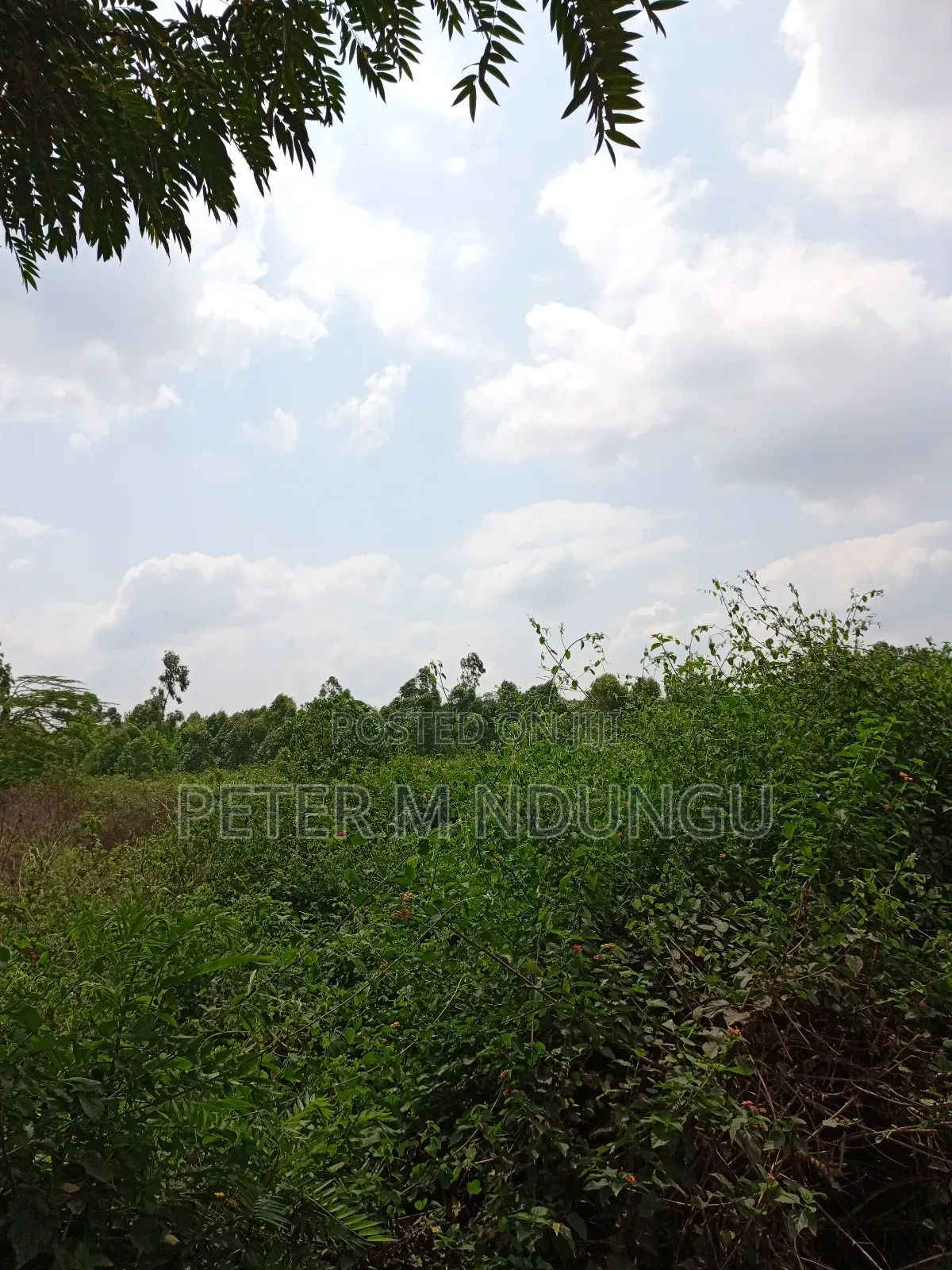 Prime Land on Sale, 60 Acres Muthaiga North in Nairobi Central