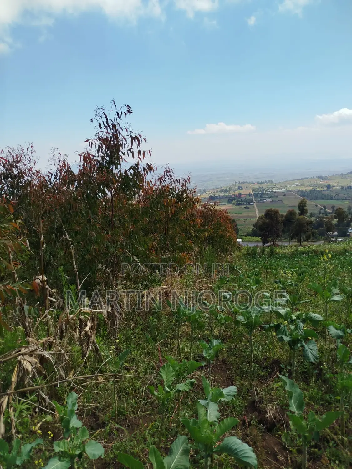1⁄2 Acre Fryover in Naivasha East