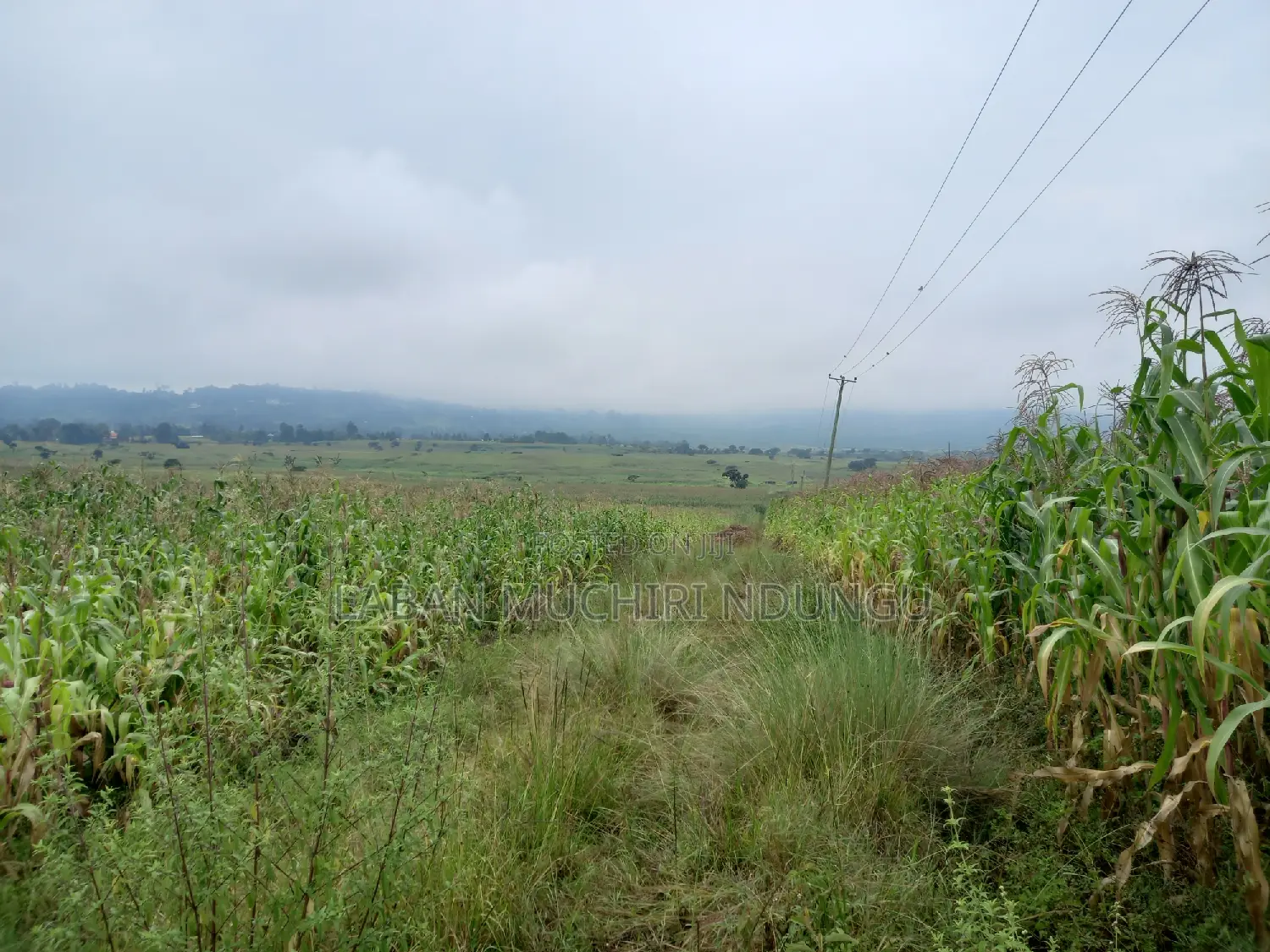 For Sale Land in Lanet