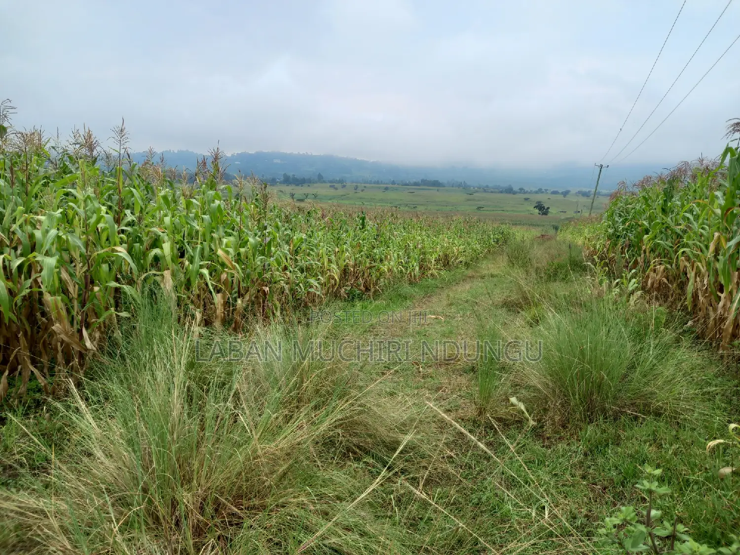 For Sale Land in Lanet