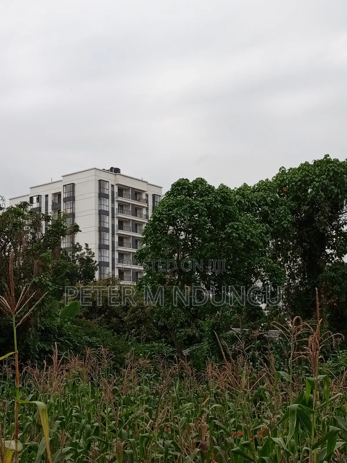 Prime Land on Sale 1/4 Acre Ruaka in Kiambu / Kiambu 