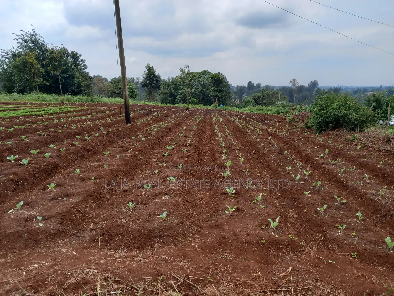 Kiambaa Land Sale in Cianda