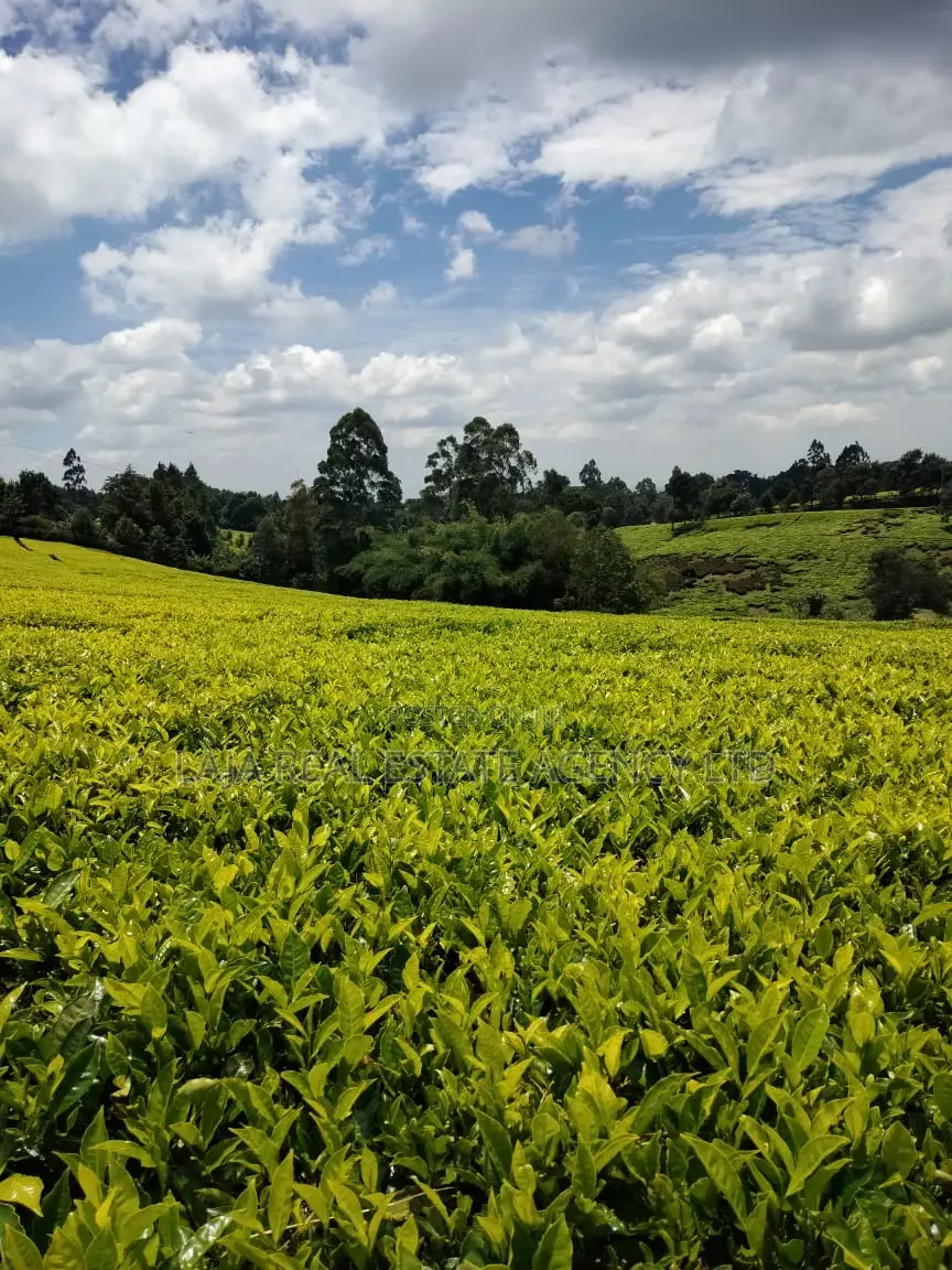 Limuru Farm 3.5 Acres Sale in Tigoni