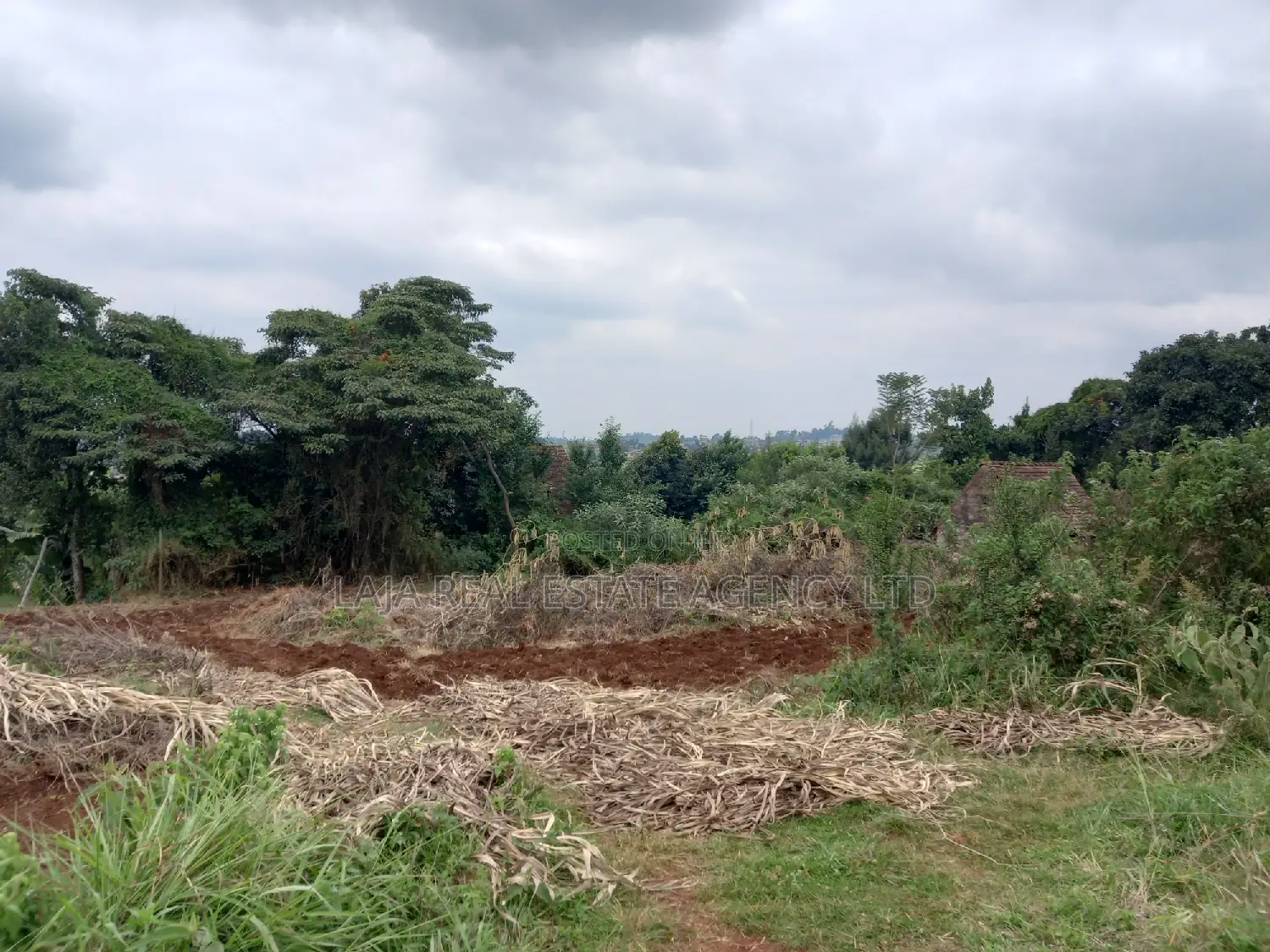 Tigoni 10 Acres With Tea on Sale in Tigoni