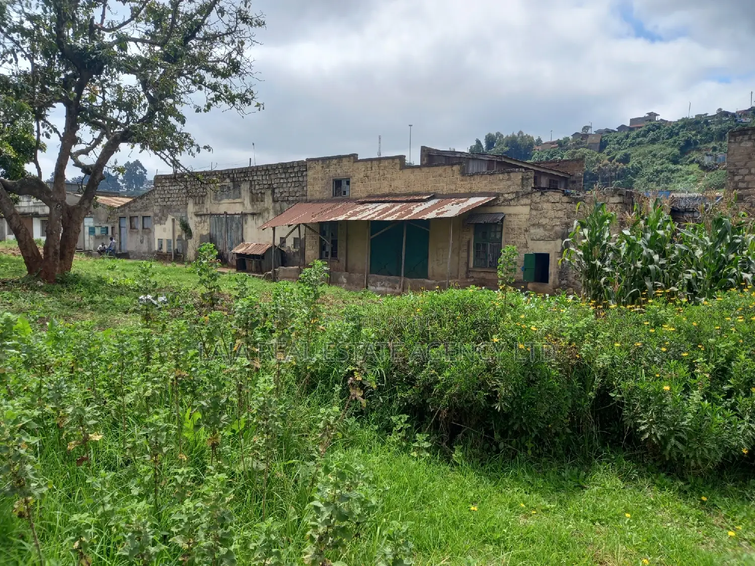 Limuru Railway Godown in Limuru CBD