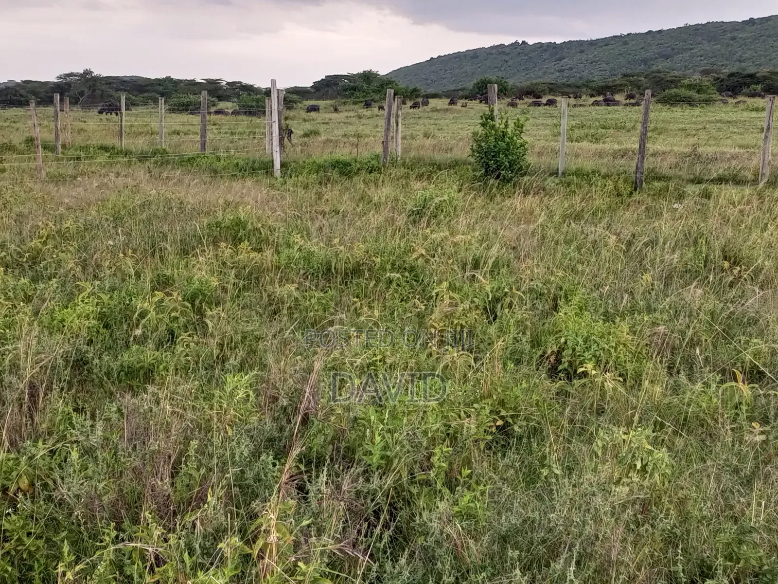 Plot for Sale in Pipeline Near Game Park in Nakuru Town East