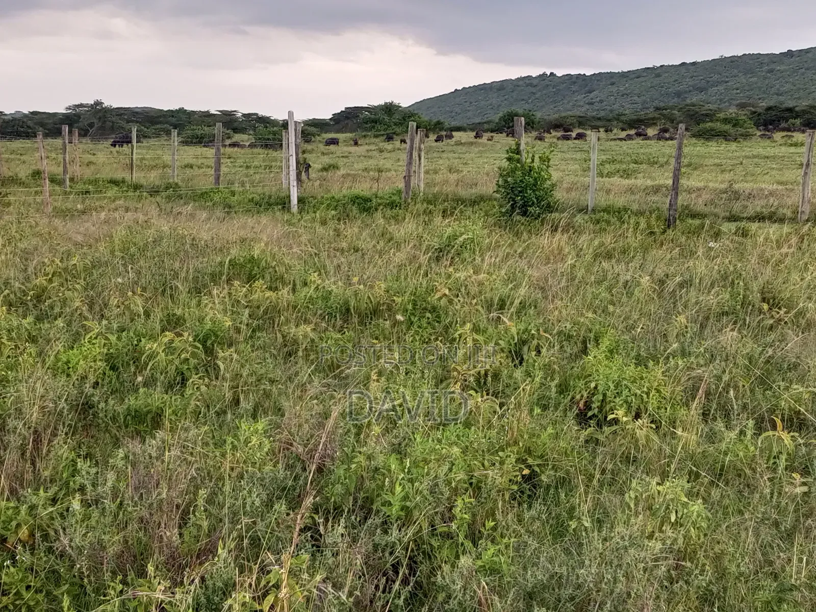 Plot for Sale in Pipeline Near Game Park in Nakuru Town East