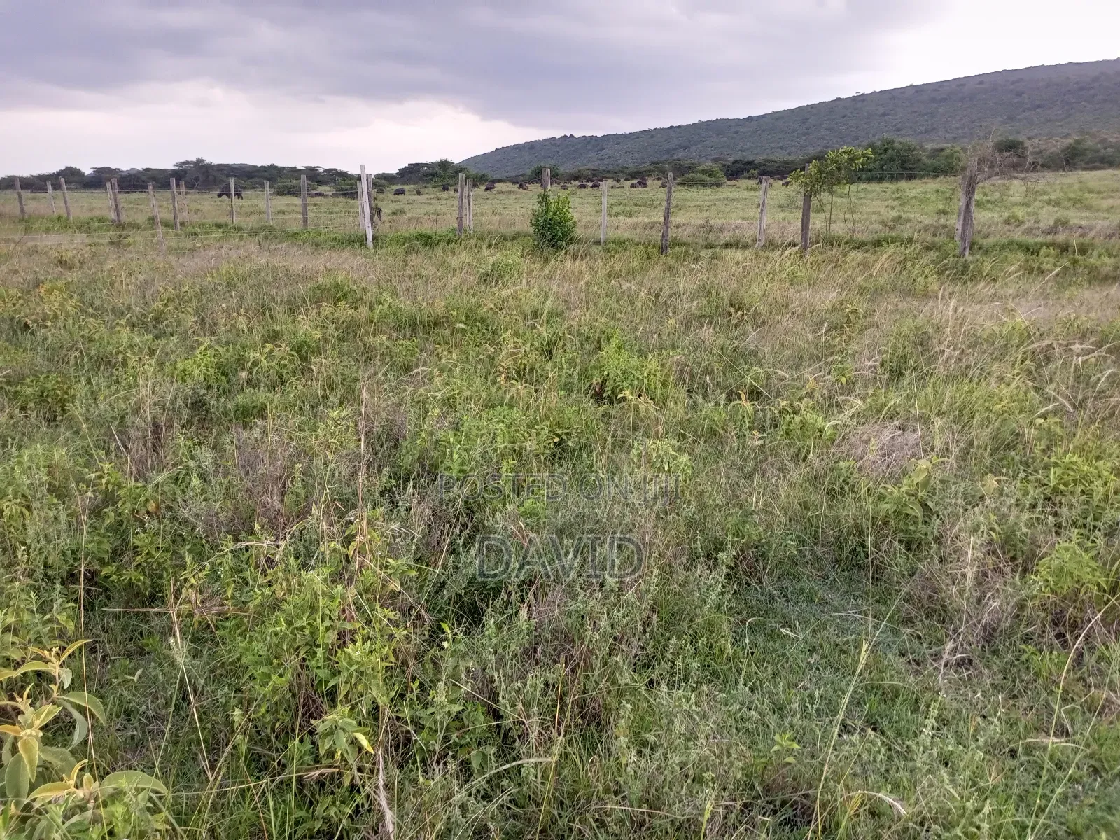 Plot for Sale in Pipeline Near Game Park in Nakuru Town East