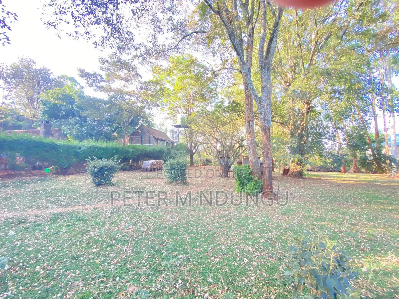 Prime Land 2.5 Acres, Ridgeways in Ridgeways