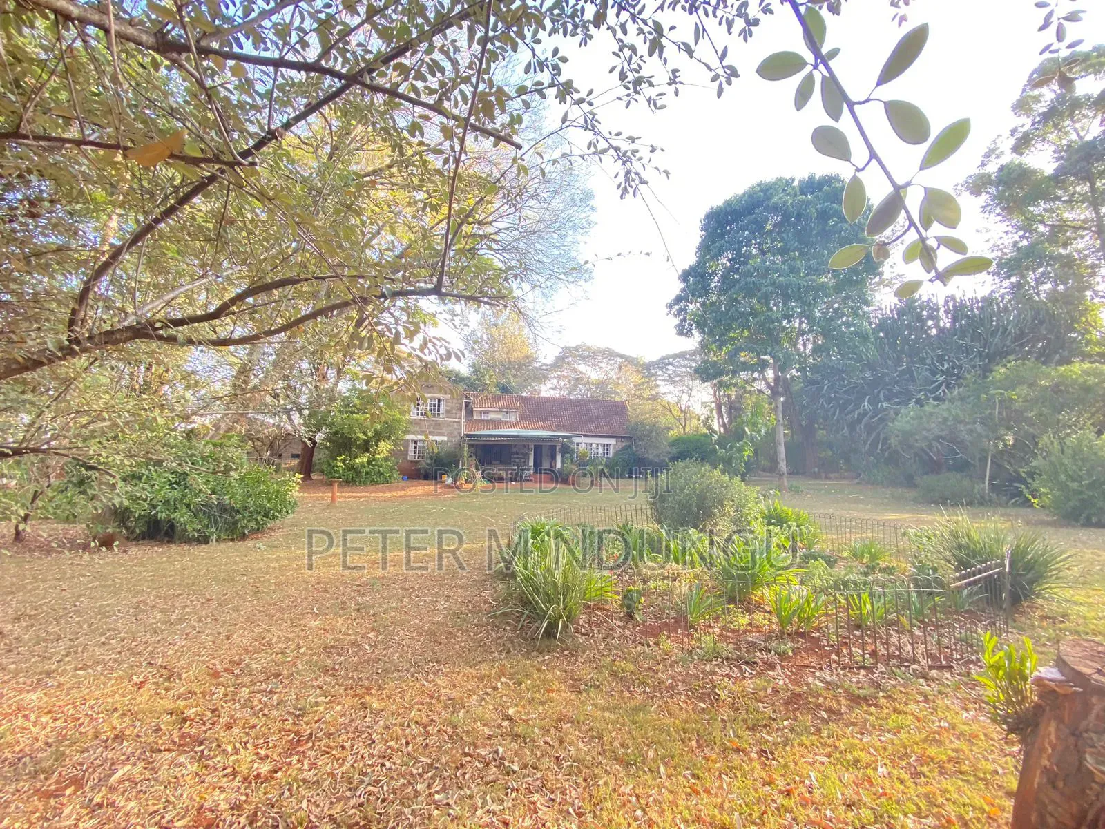 Prime Land 2.5 Acres, Ridgeways in Ridgeways