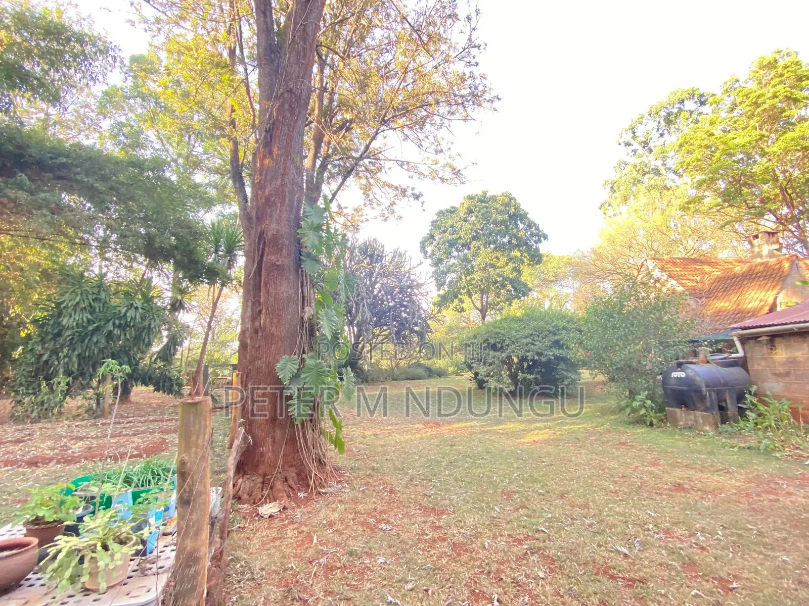 Prime Land 2.5 Acres, Ridgeways in Ridgeways