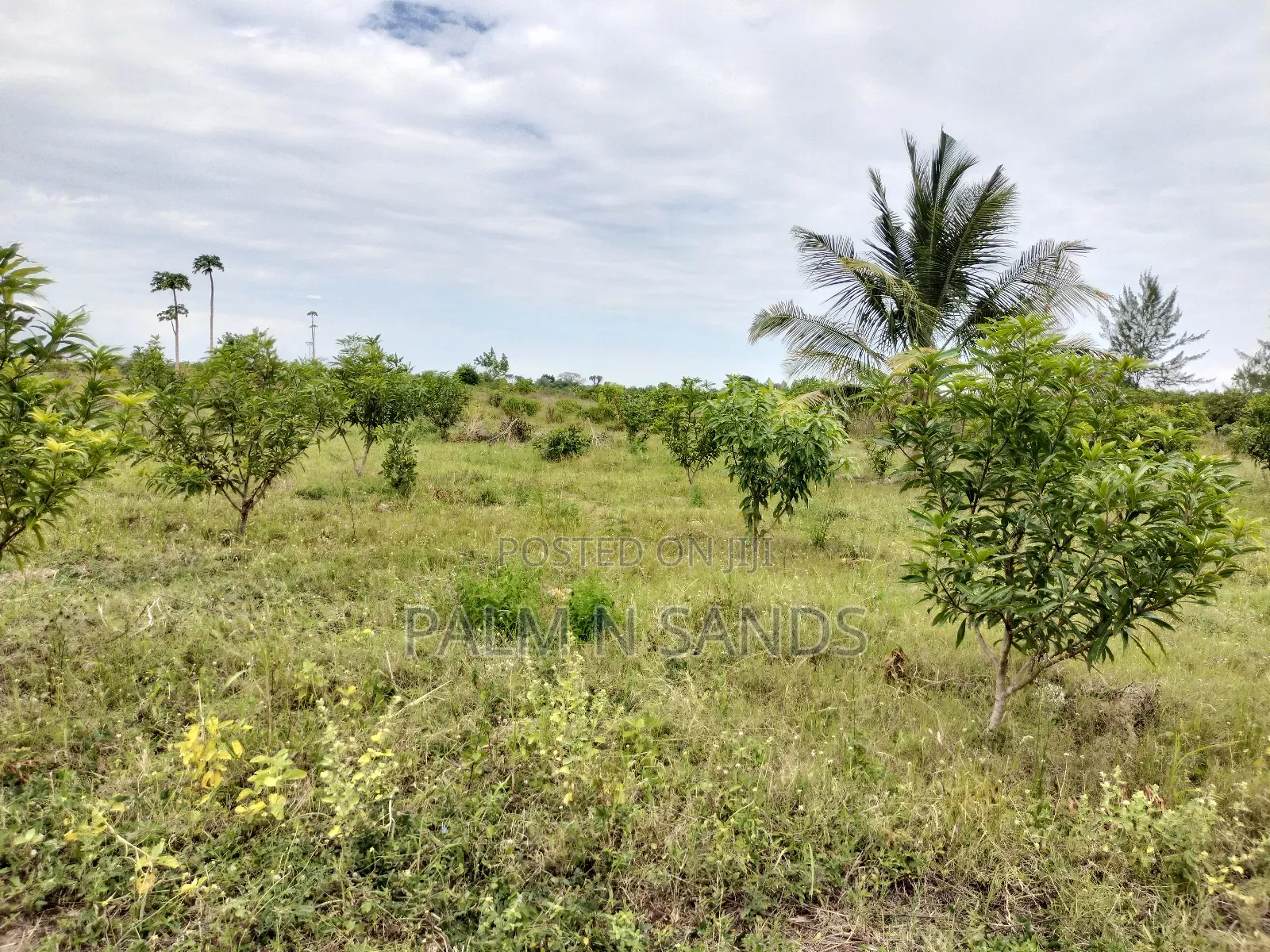 Tswaka Farm on Sale in Pongwe/Kikoneni
