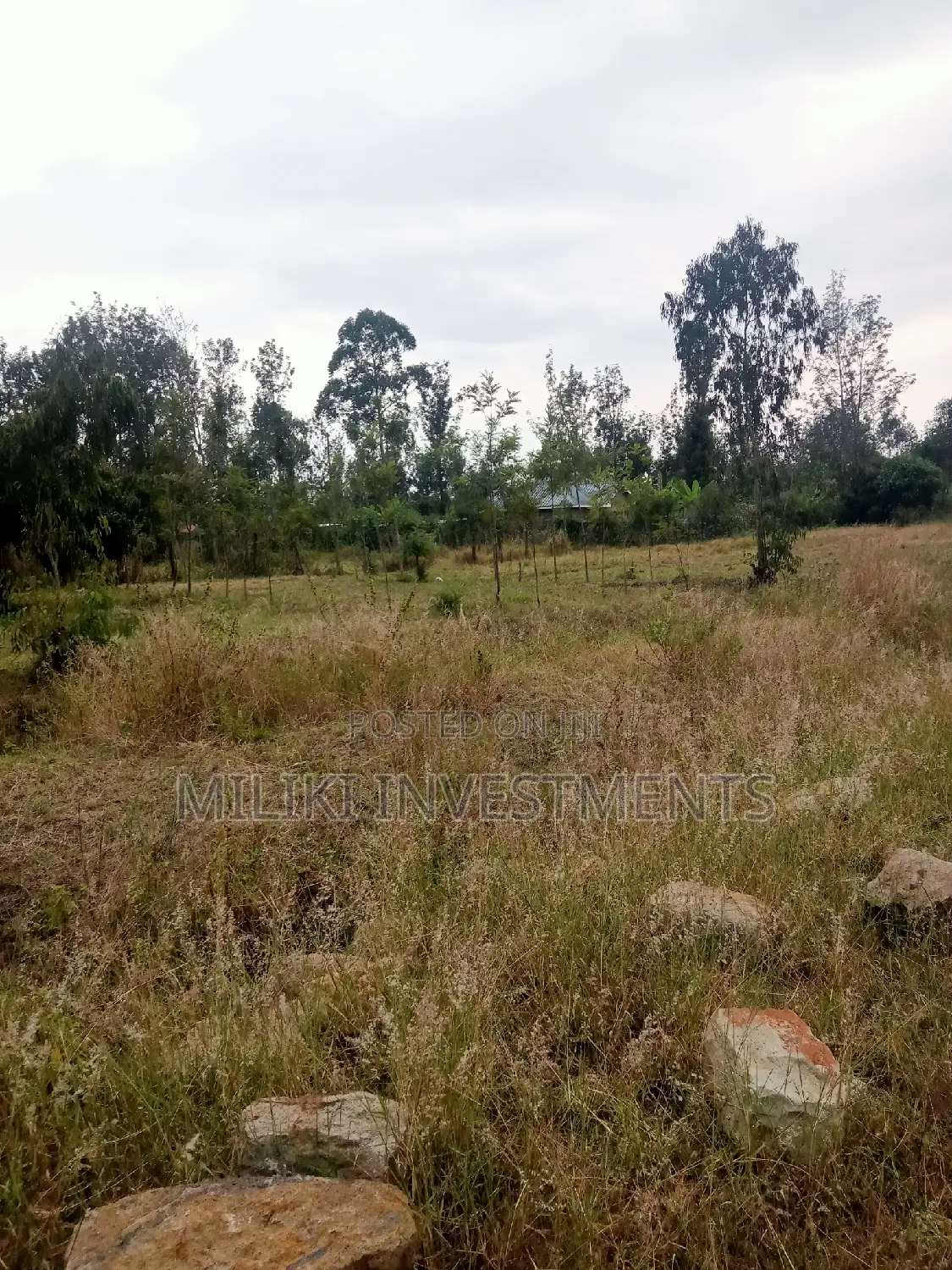 40 By 80 Plots On Sale At Kenol in Kimorori/Wempa