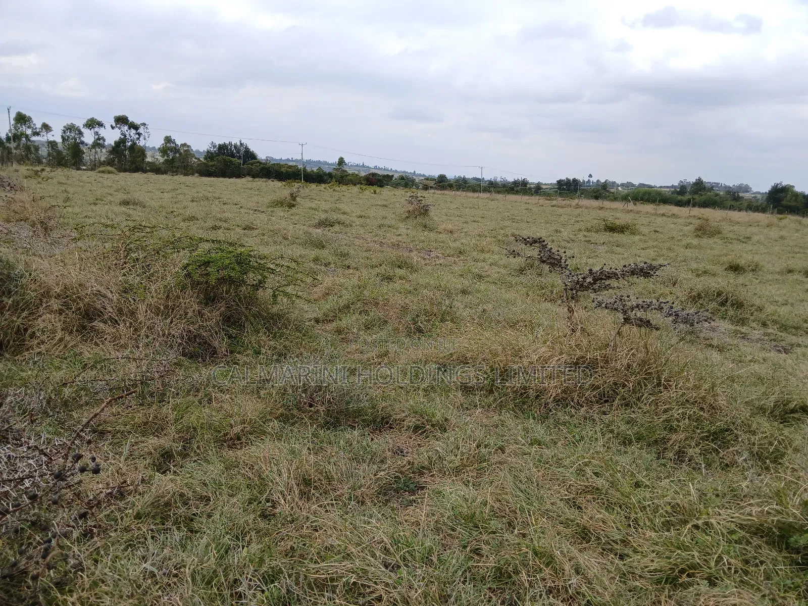2 Prime Acres Selling Off Pipeline Road, Kiserian in Kiserian
