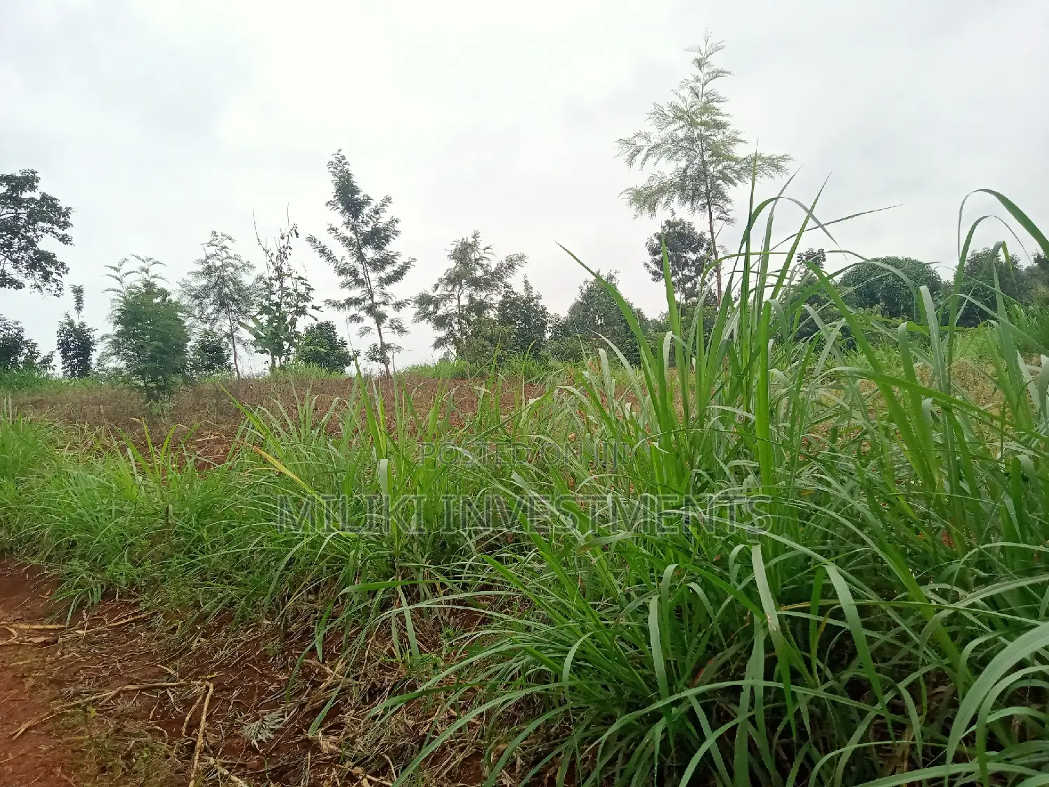 Acre of Land on Sale at Maragua in Ichagaki