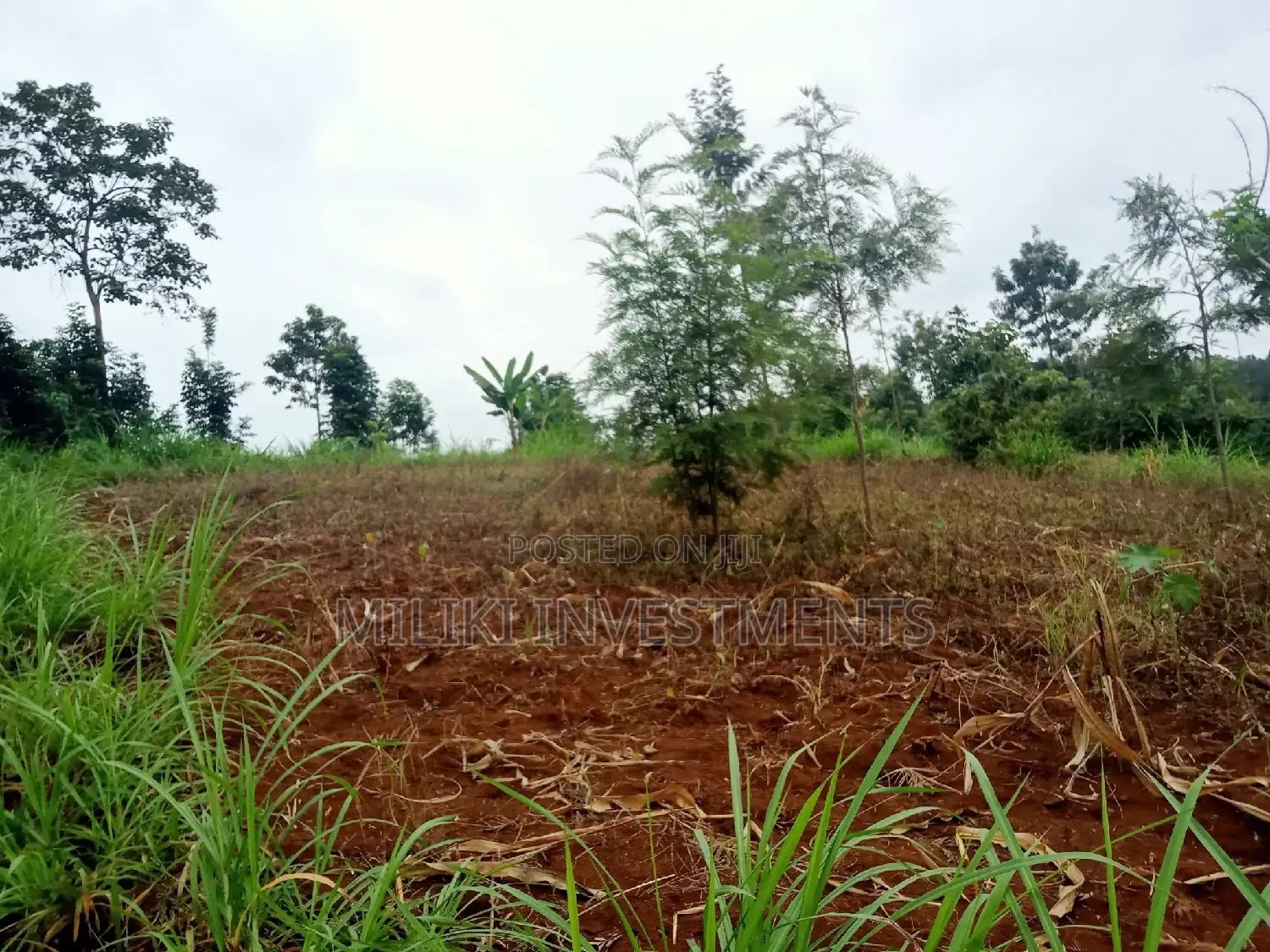Acre of Land on Sale at Maragua in Ichagaki
