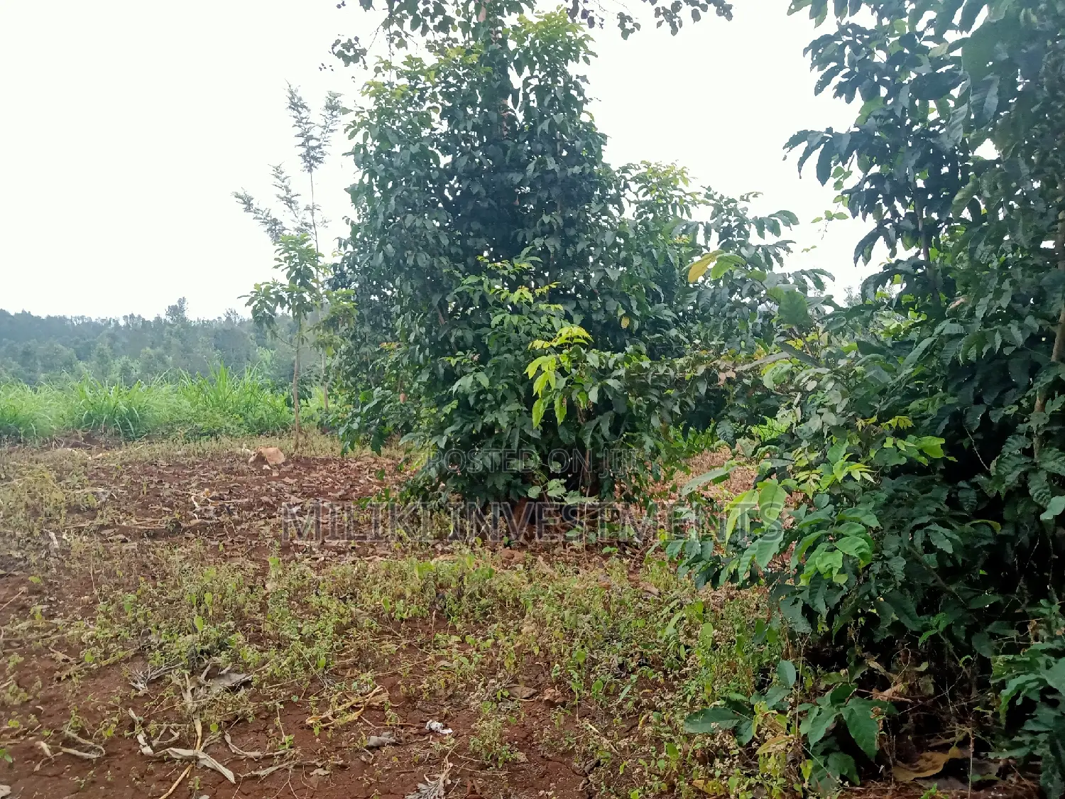Acre of Land on Sale at Maragua in Ichagaki