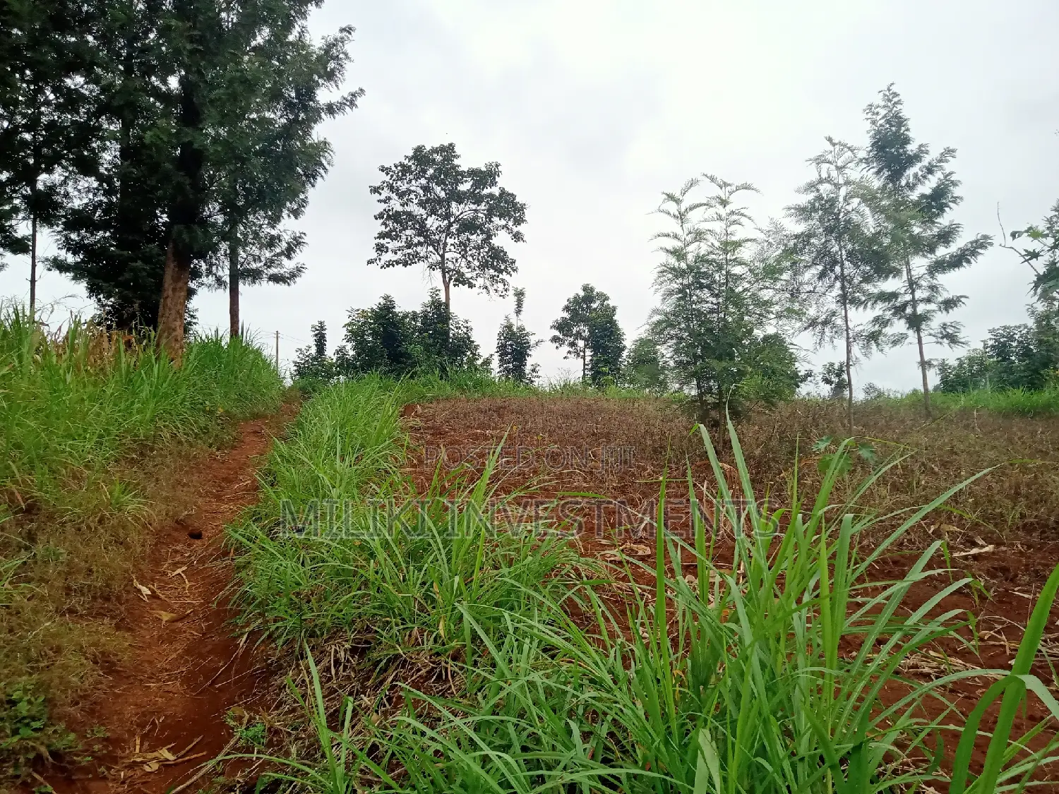 Acre of Land on Sale at Maragua in Ichagaki