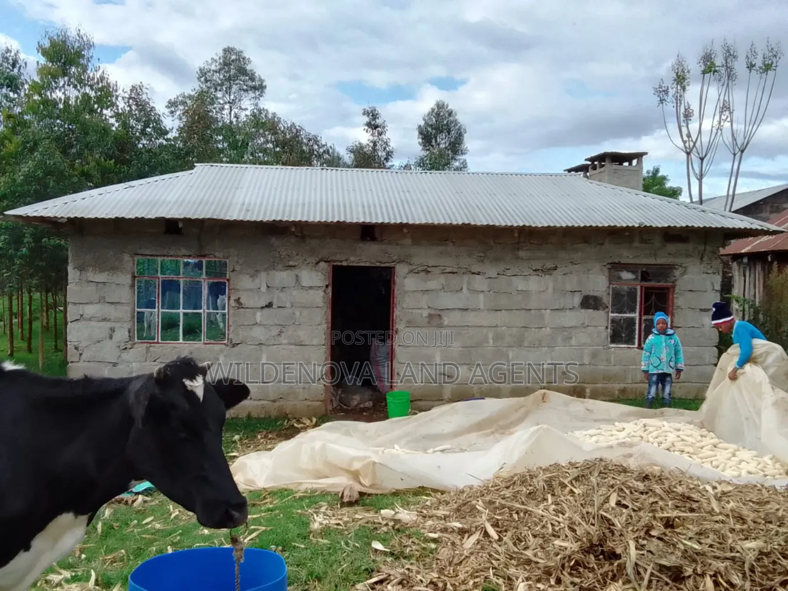 Kinangop Enginear: Half Acre Land with House Structure on Sale in North Kinangop
