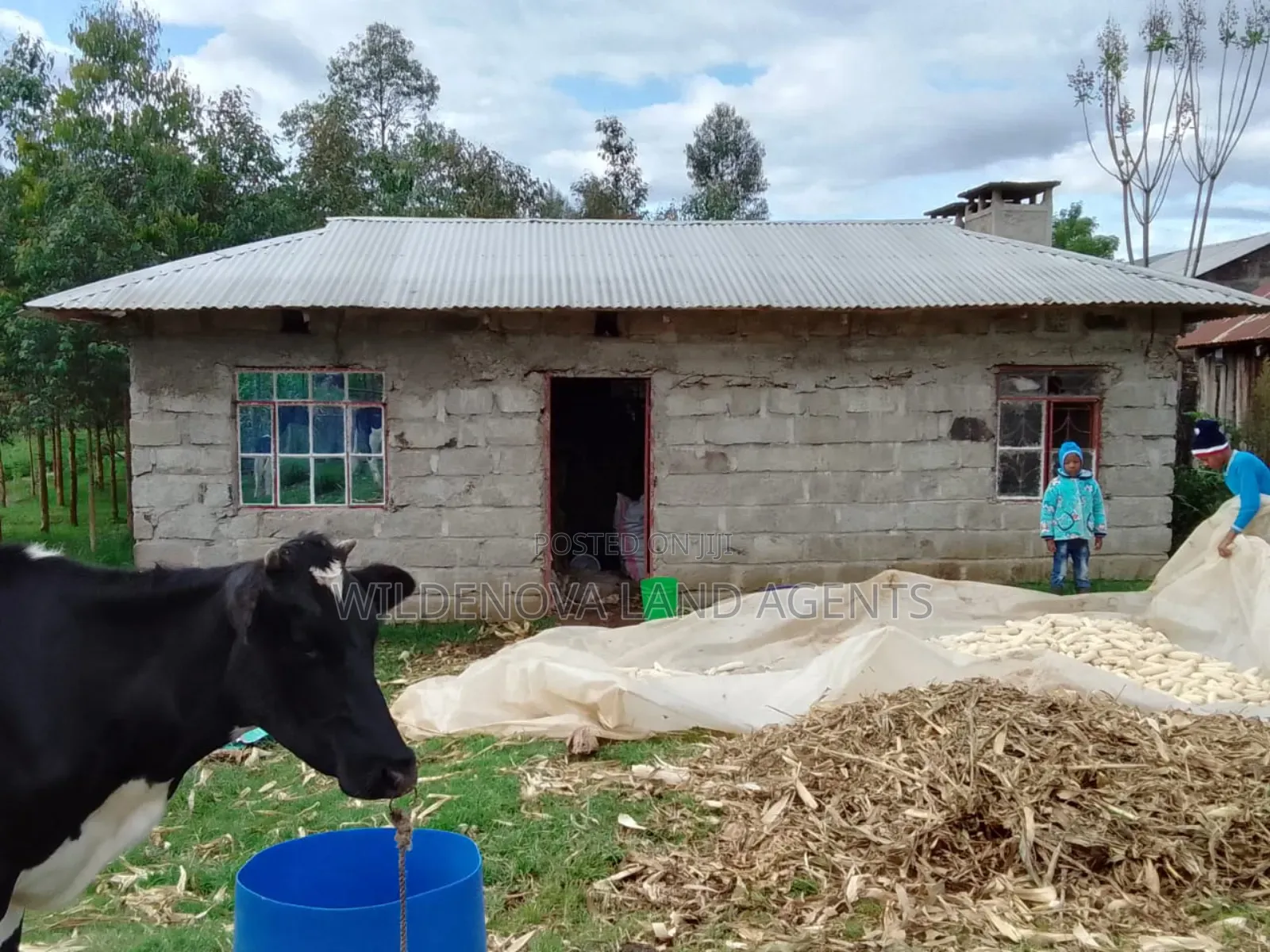Kinangop Enginear: Half Acre Land with House Structure on Sale in North Kinangop