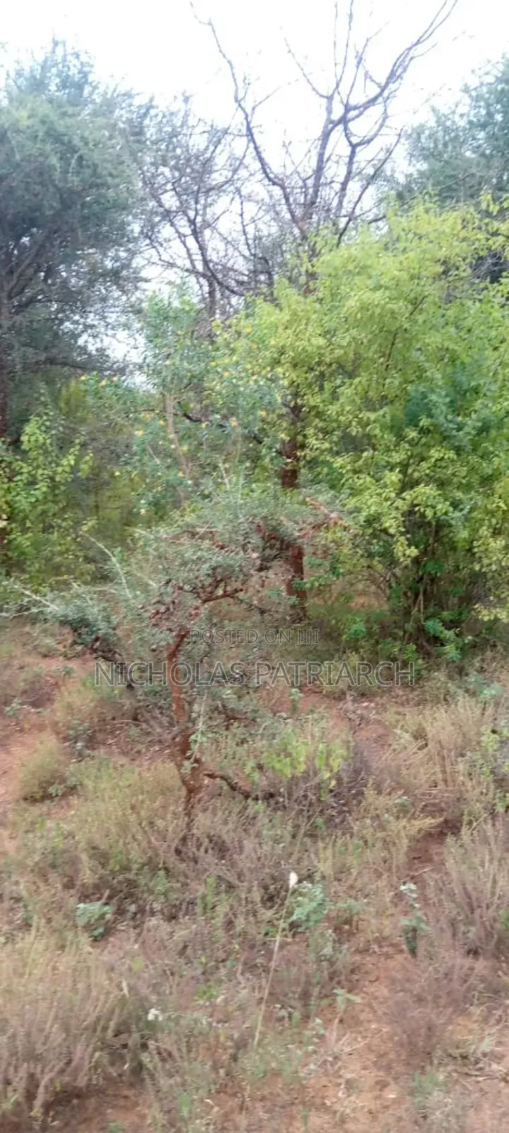 200 Acres Kitui -Mutha at Per Acre in Mutomo