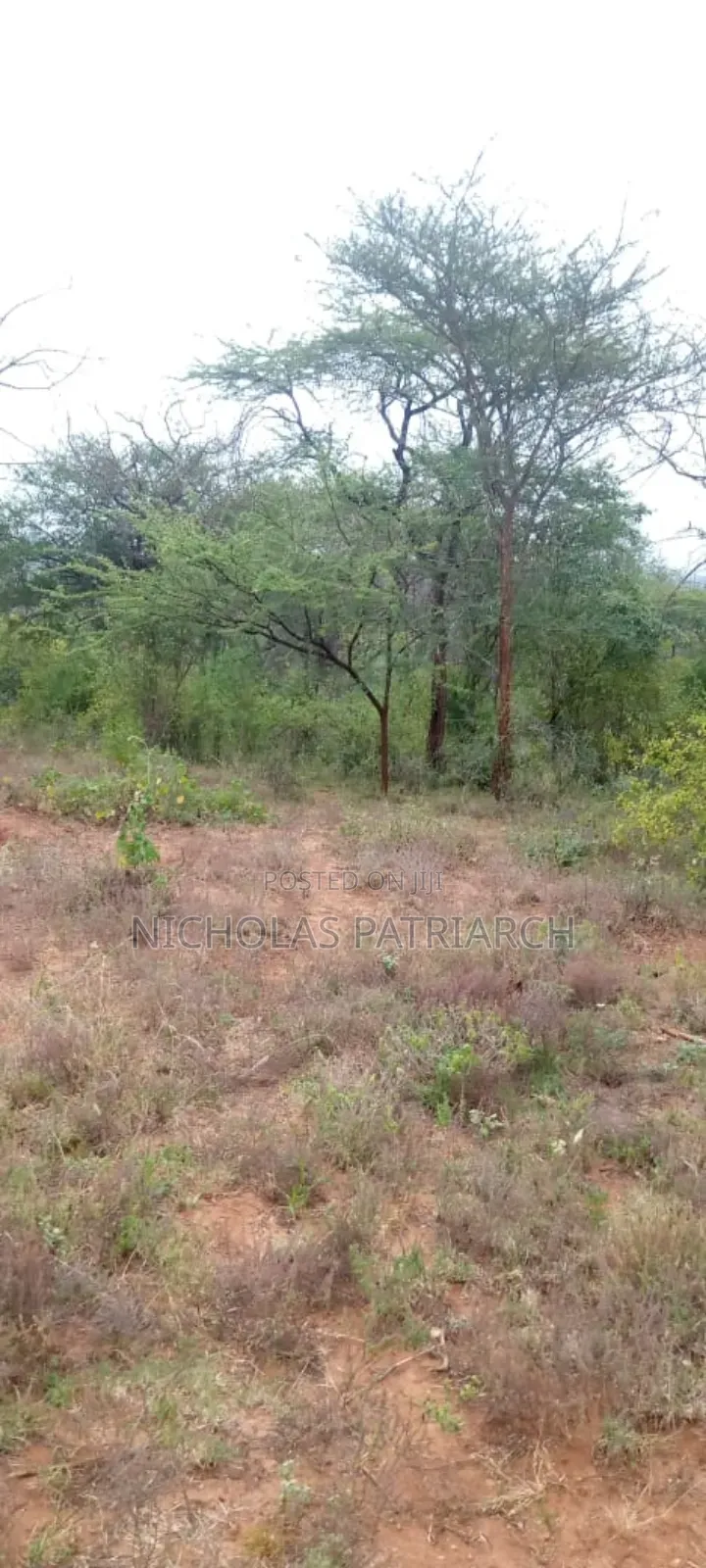 200 Acres Kitui -Mutha at Per Acre in Mutomo