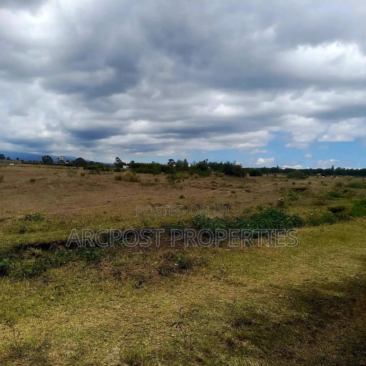 Prime 5-Acre Plot in Nanyuki: Residential/Commercial in Nanyuki