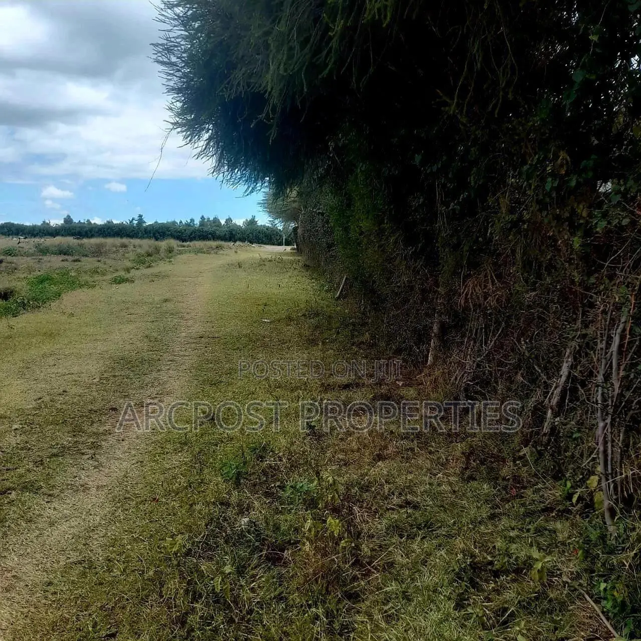 Prime 5-Acre Plot in Nanyuki: Residential/Commercial in Nanyuki