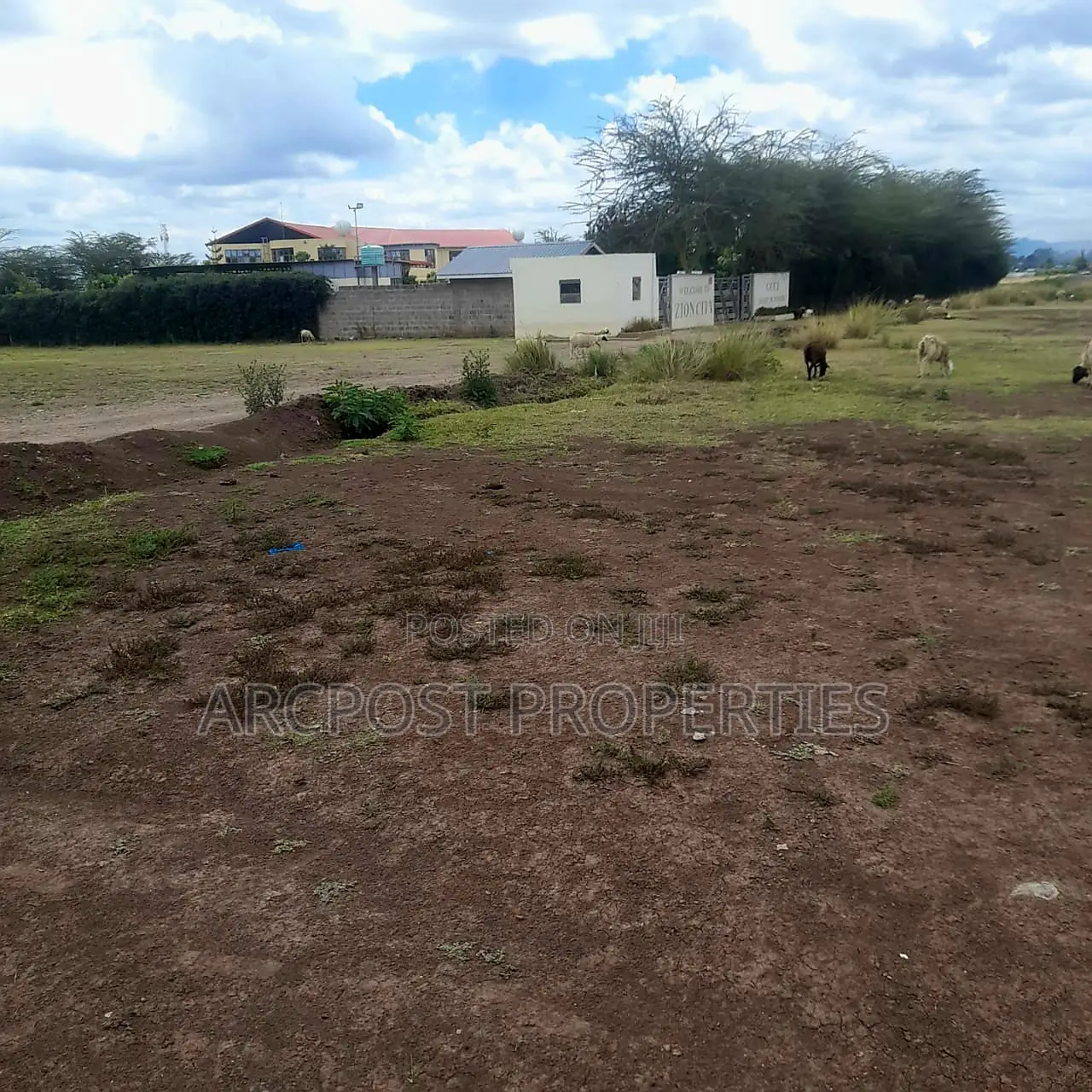 Prime 5-Acre Plot in Nanyuki: Residential/Commercial in Nanyuki