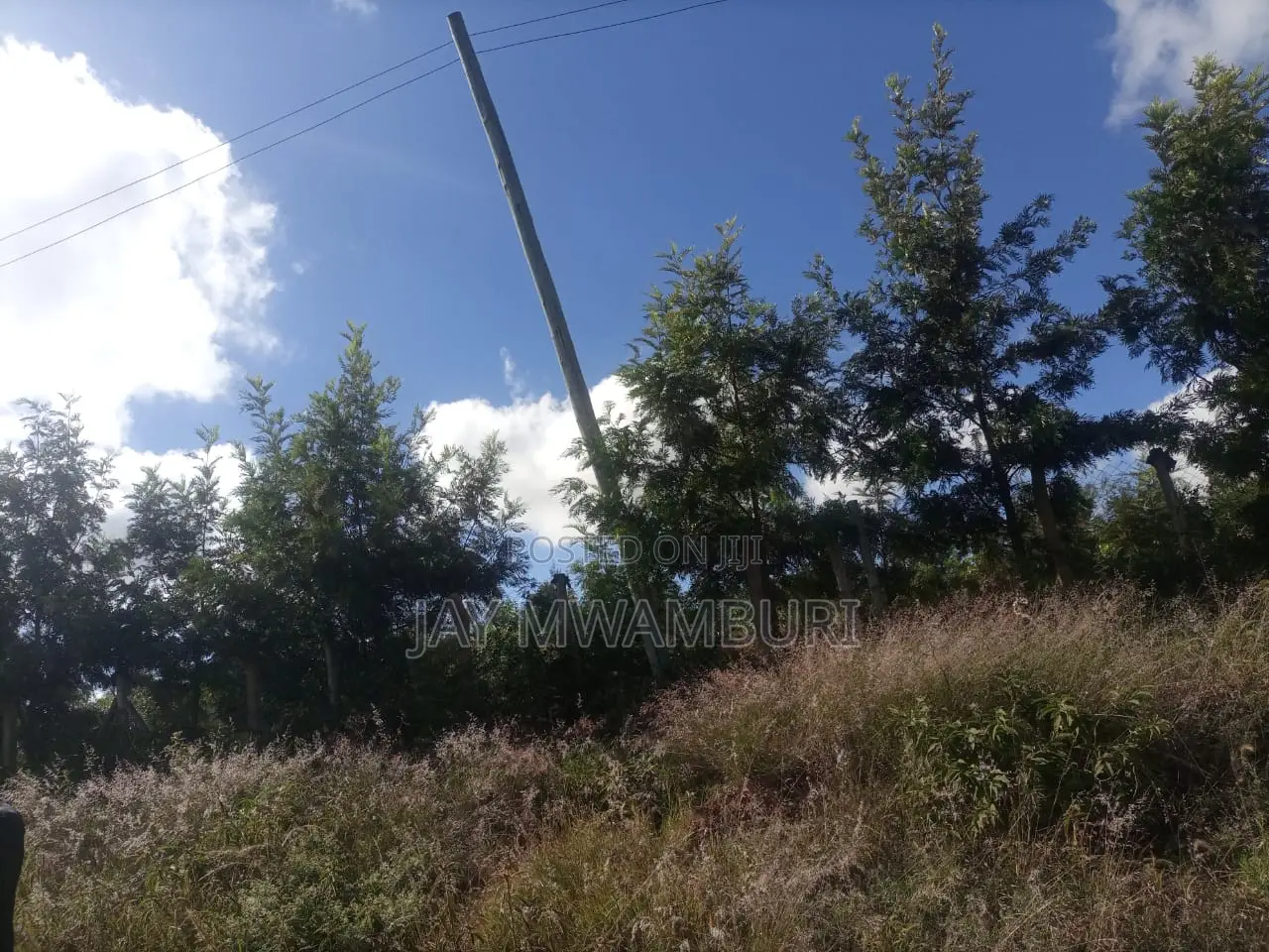 Lovely 1 1/2 Acre Mua Hills in Mua Hills
