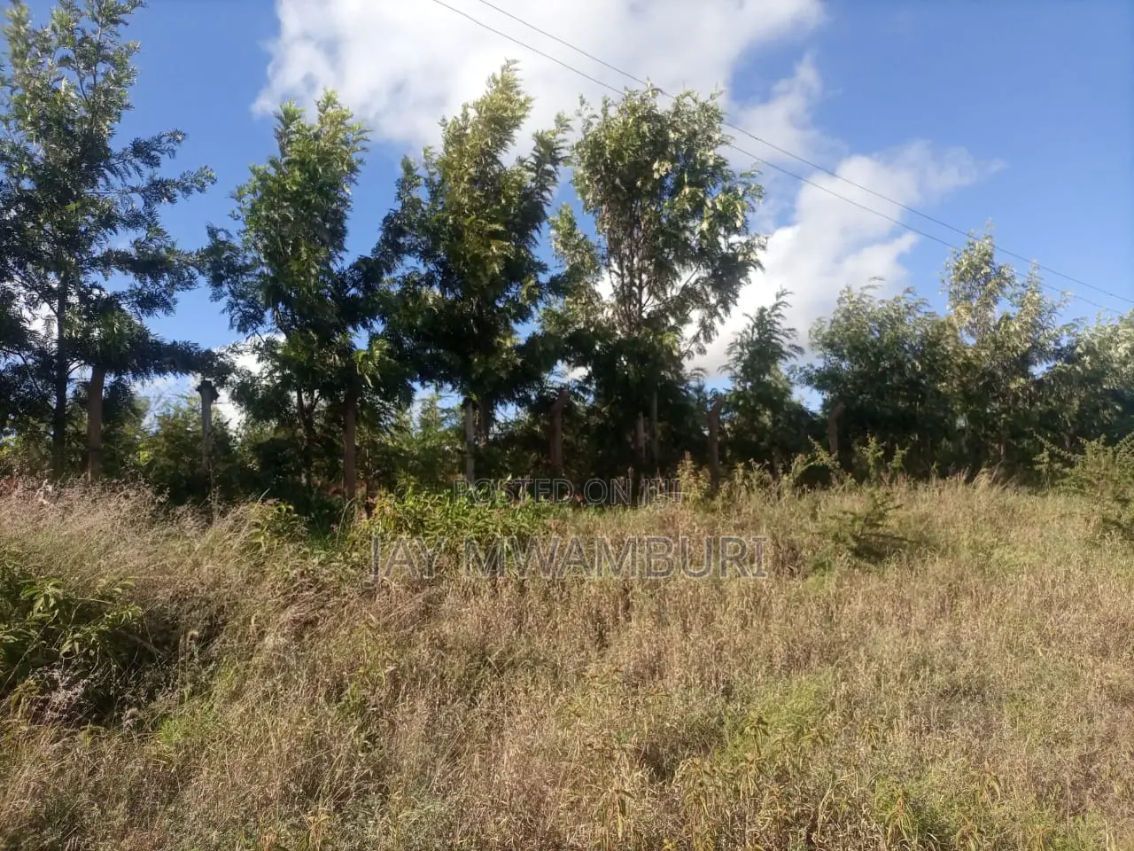 Lovely 1 1/2 Acre Mua Hills in Mua Hills