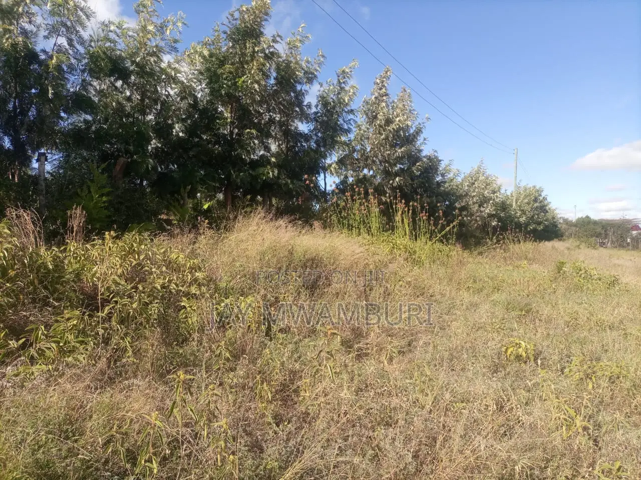 Lovely 1 1/2 Acre Mua Hills in Mua Hills